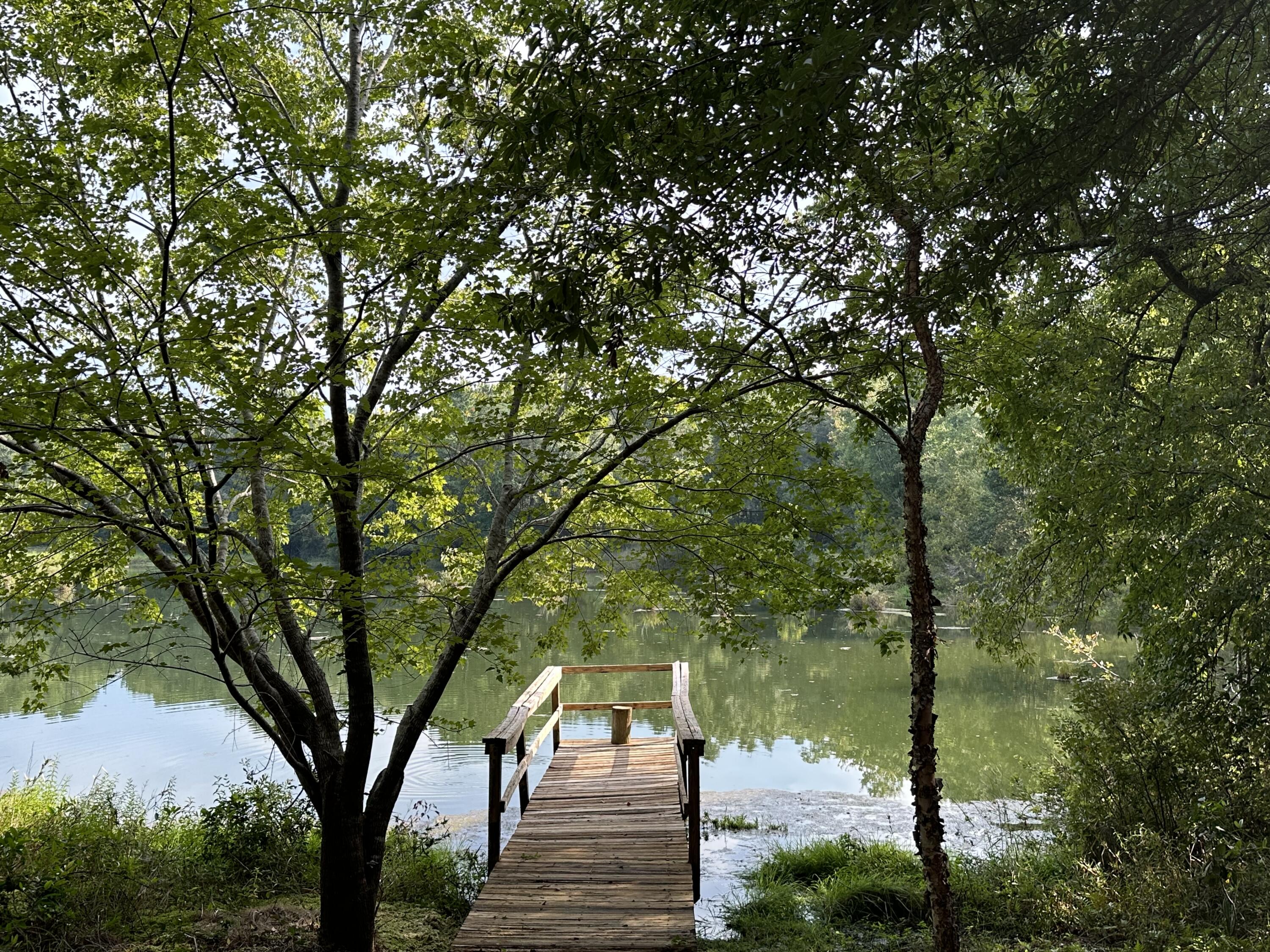 North Supergroup - Residential