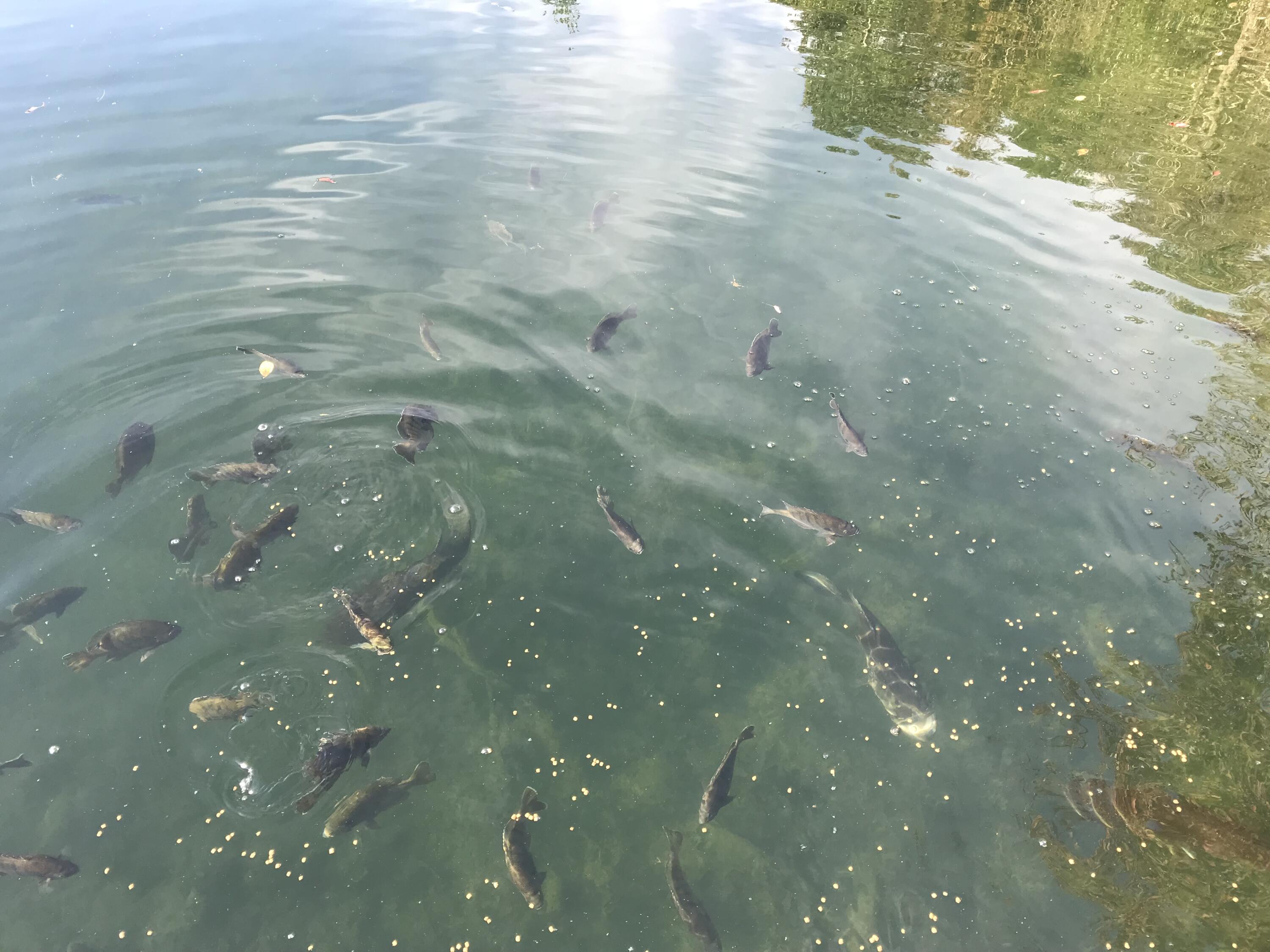 North Supergroup - Residential