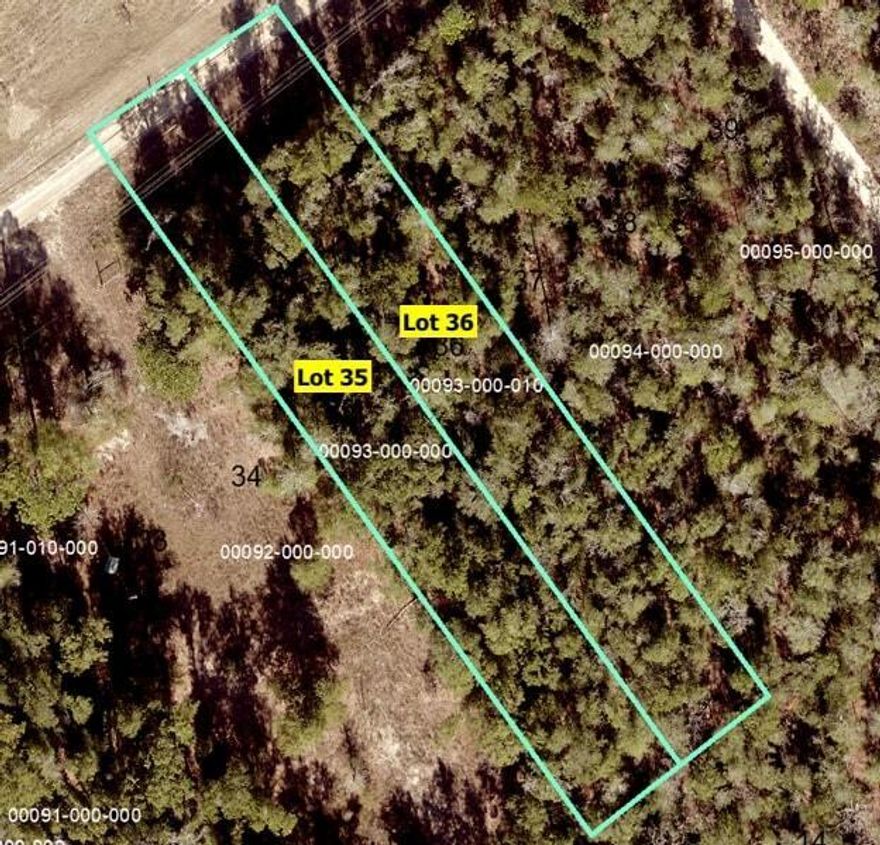 Location! This 0.37 acre lot is situated off Highway 231, providing a straight commute to central Panama City and Panama City Beach. This lot offers a plethora of room to spread out and manifest the outdoor oasis of your dreams. Check out this property today! Power at the road and septic/well needed.