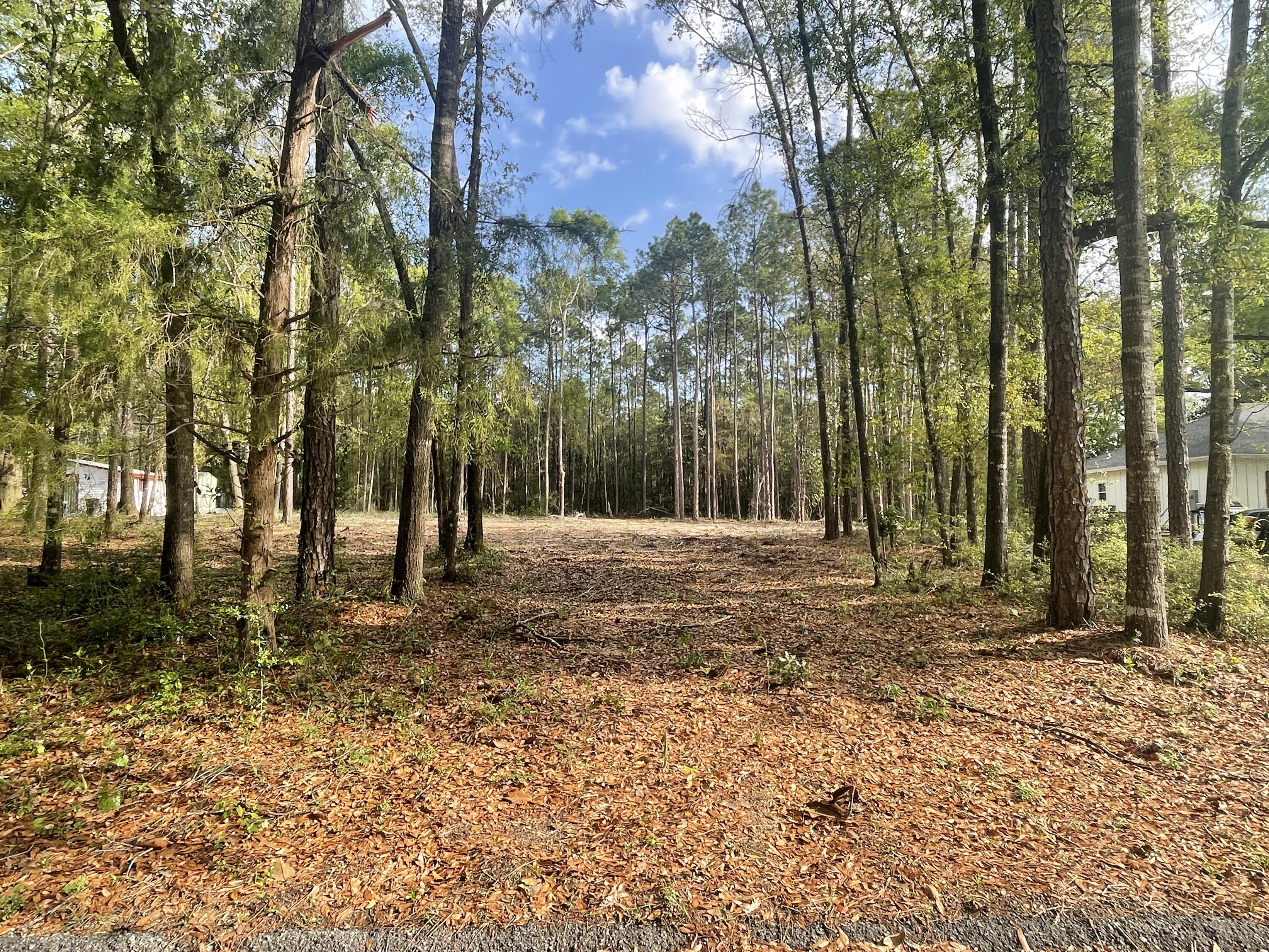 Nice lot in a fast growing area close to town and within 5 min of the boat ramp and fishing dock of Lake Juniper! Cleared and ready for your new home!