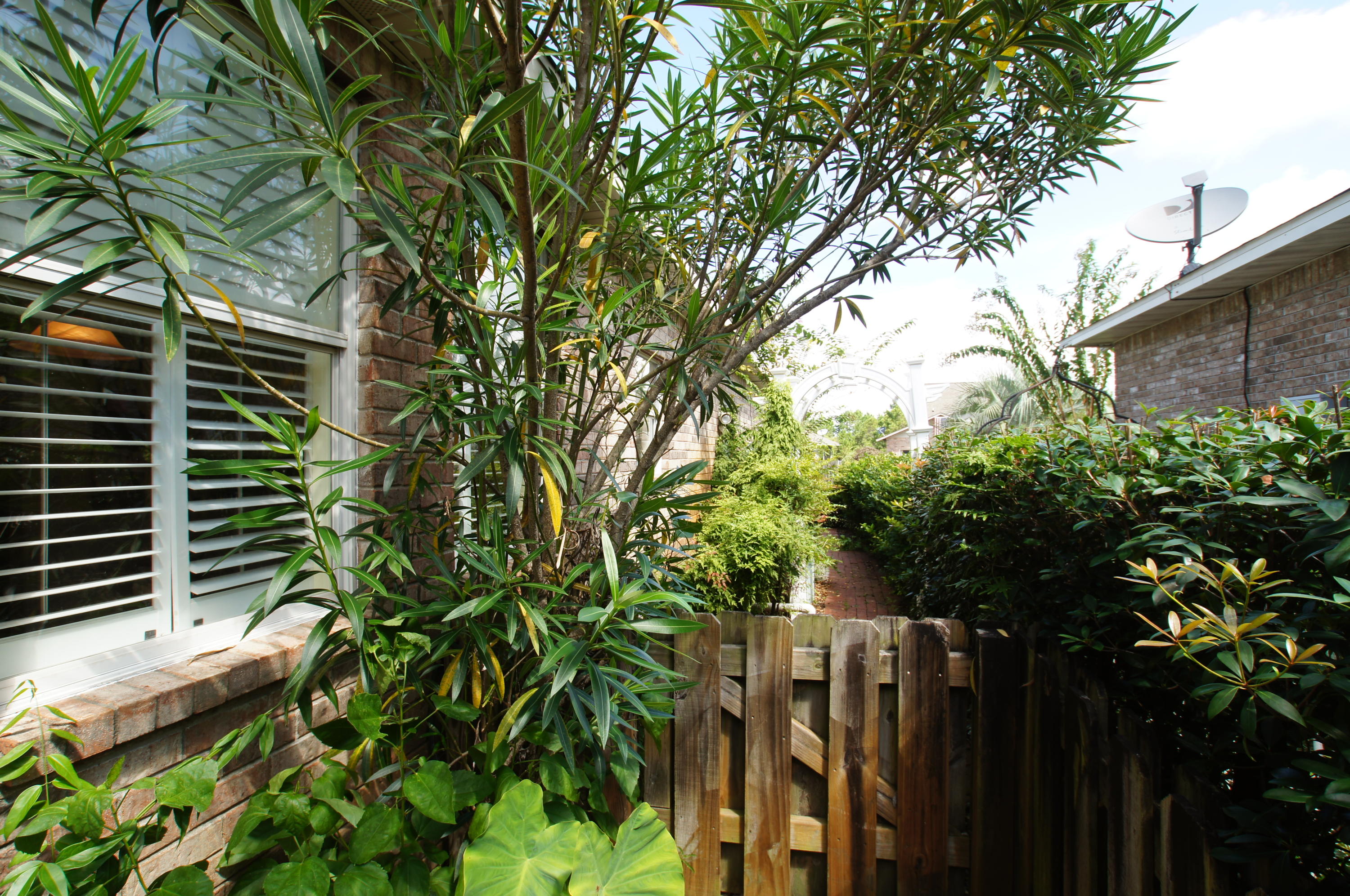 ESCADA - Residential