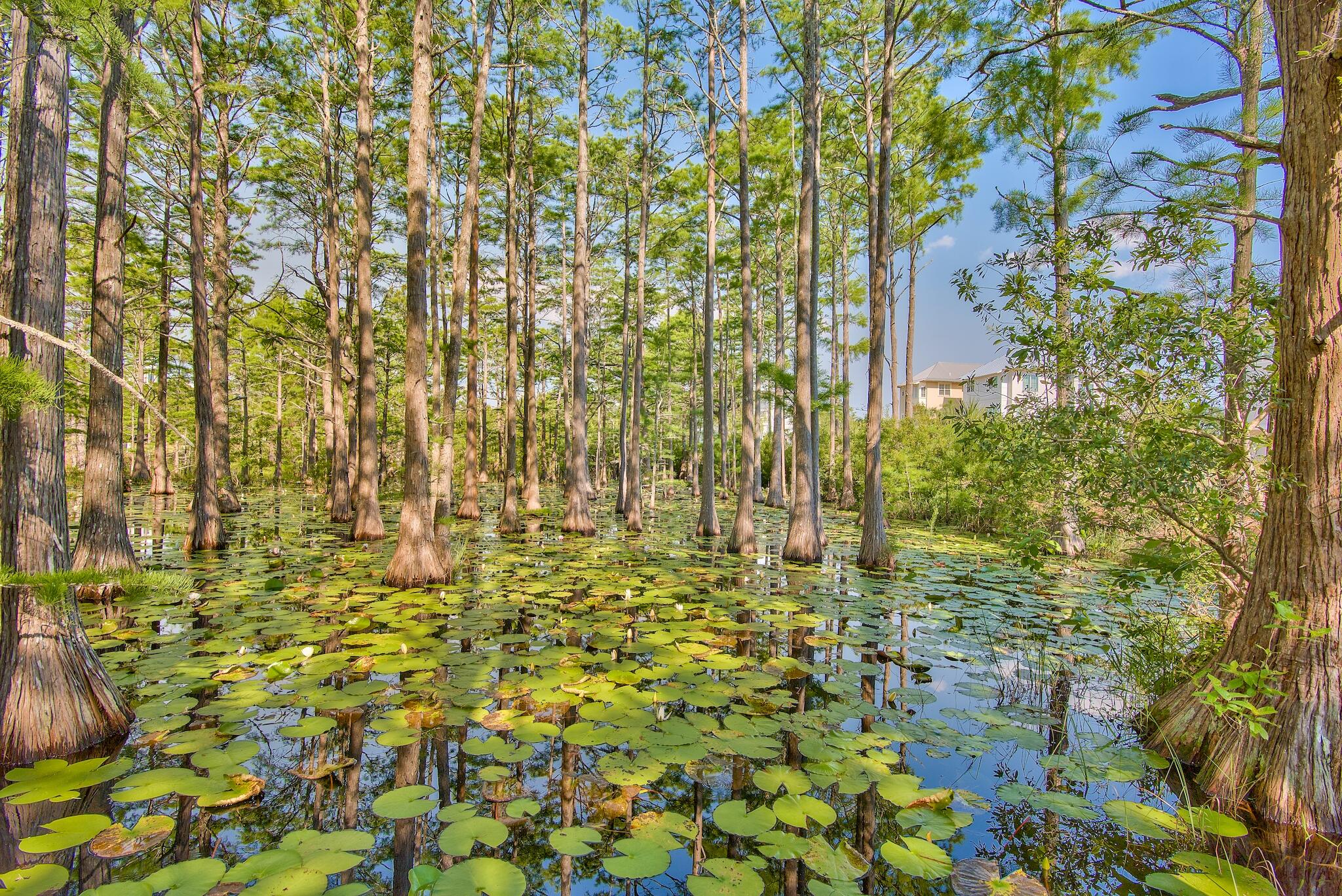 CYPRESS DUNES - Land
