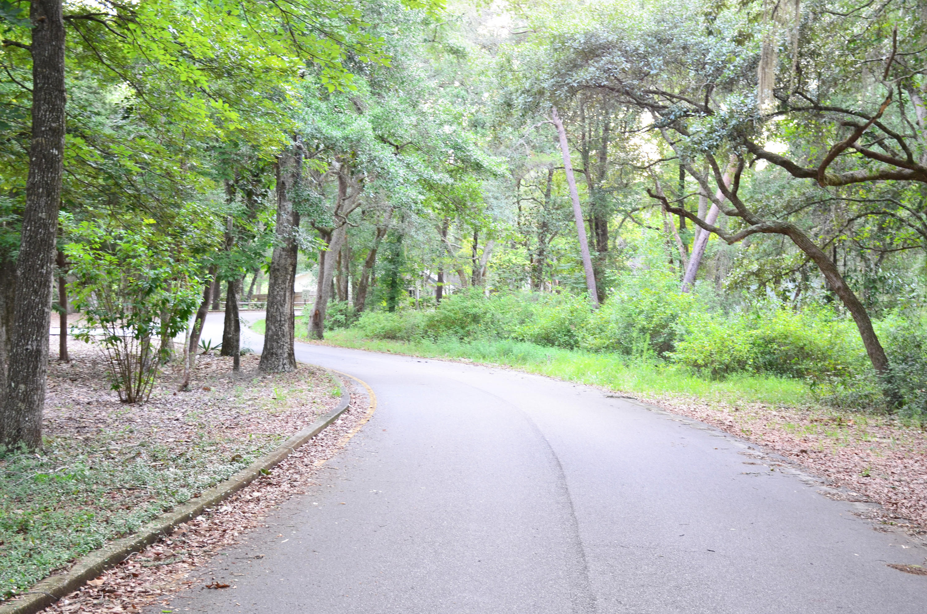 WATERVIEW COVE - Residential