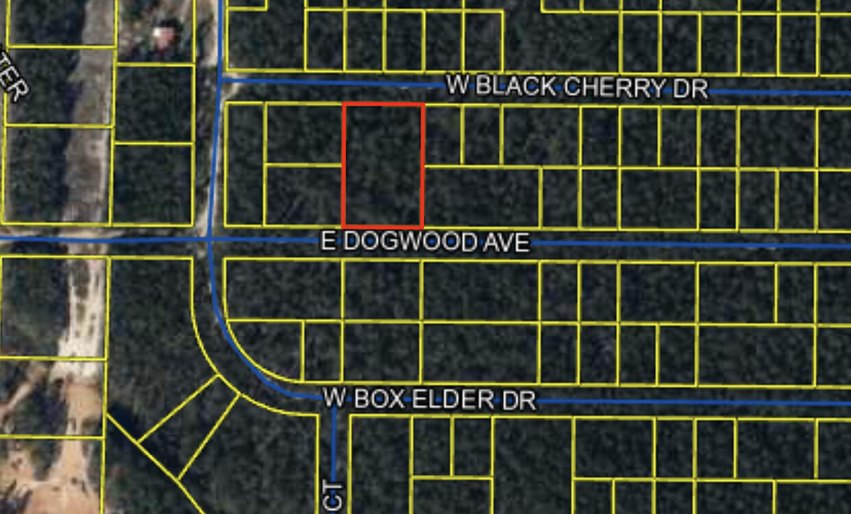 Just under a FULL acre at .91. Come see what all the talk is about in Defuniak Springs. Great size lot to place your little homestead and yet just a quick drive to the white sugar sand beaches of the Emerald Coast. OPEN HOUSE ALL DAY EVERY DAY!