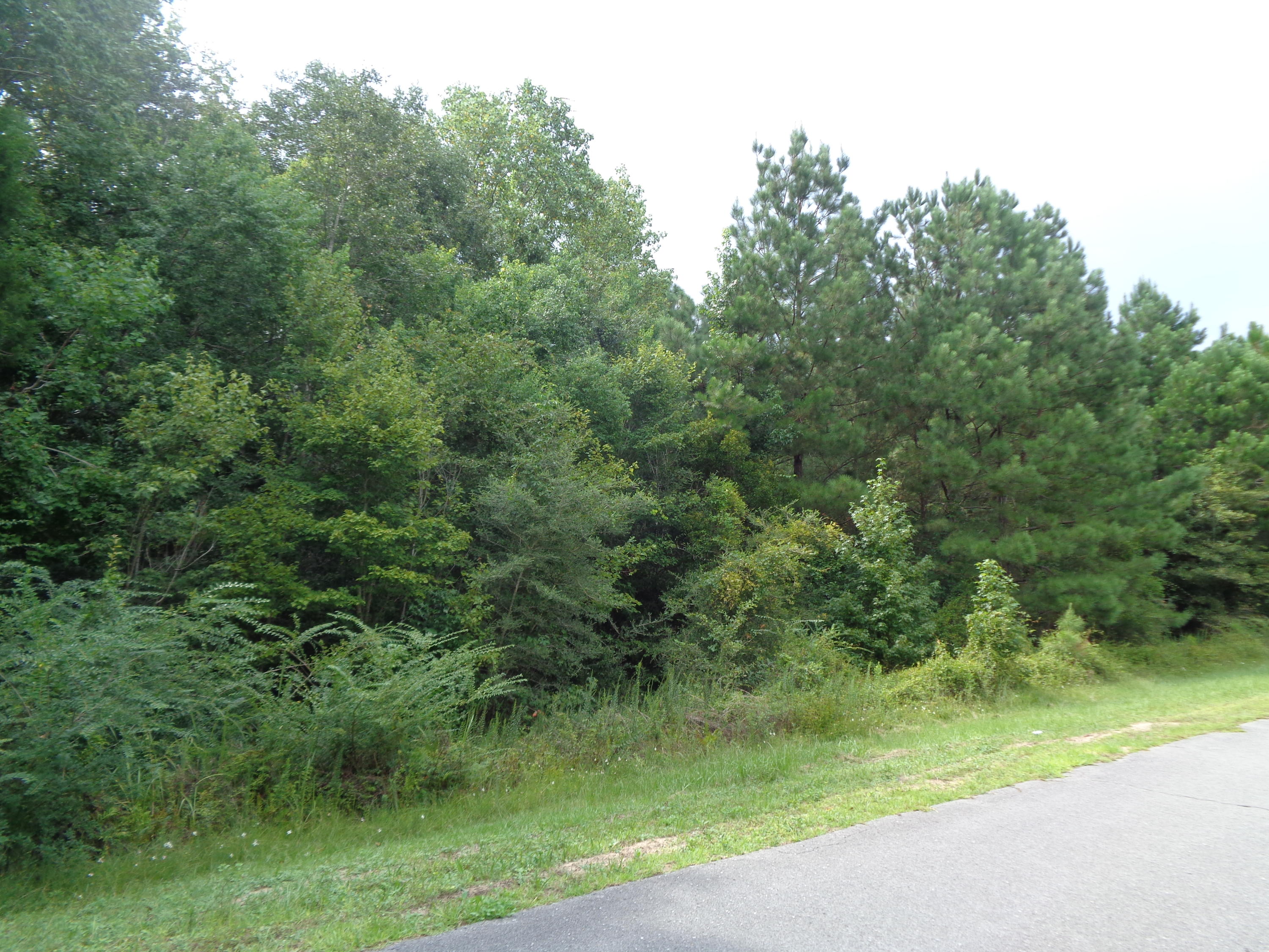 METES & BOUNDS - Land