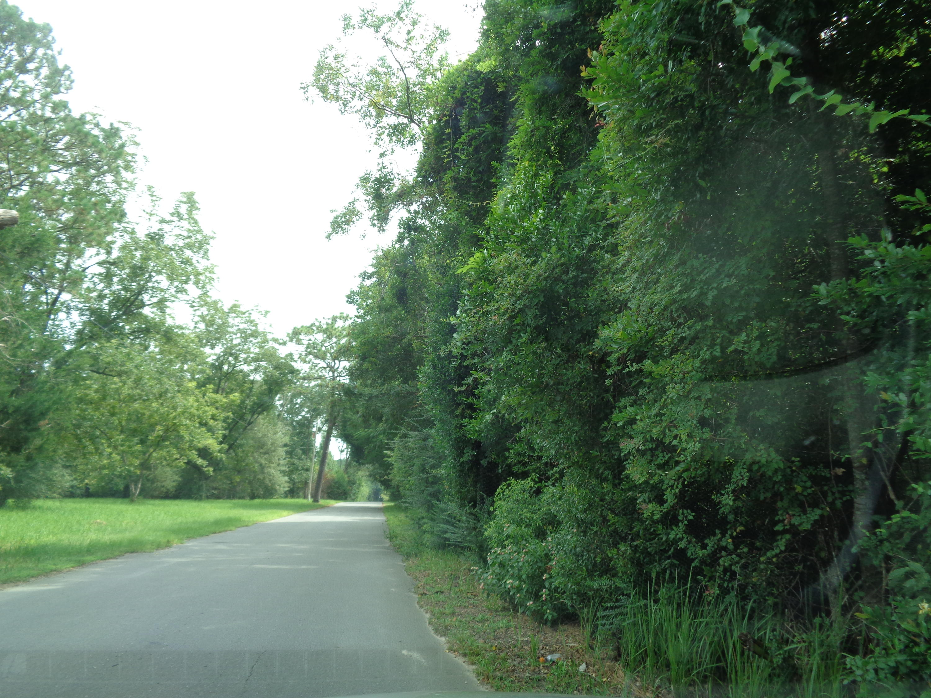 METES & BOUNDS - Land