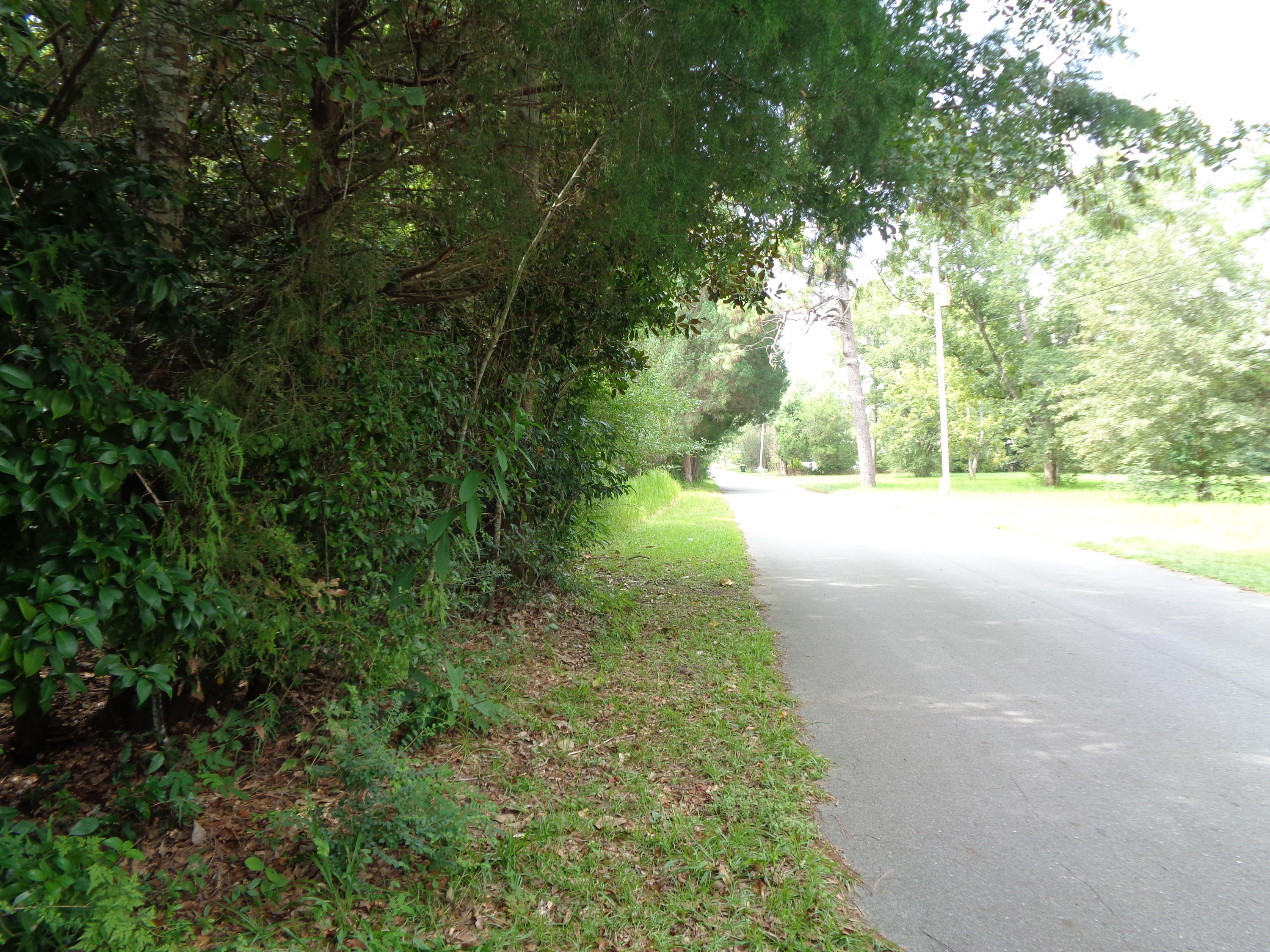 METES & BOUNDS - Land