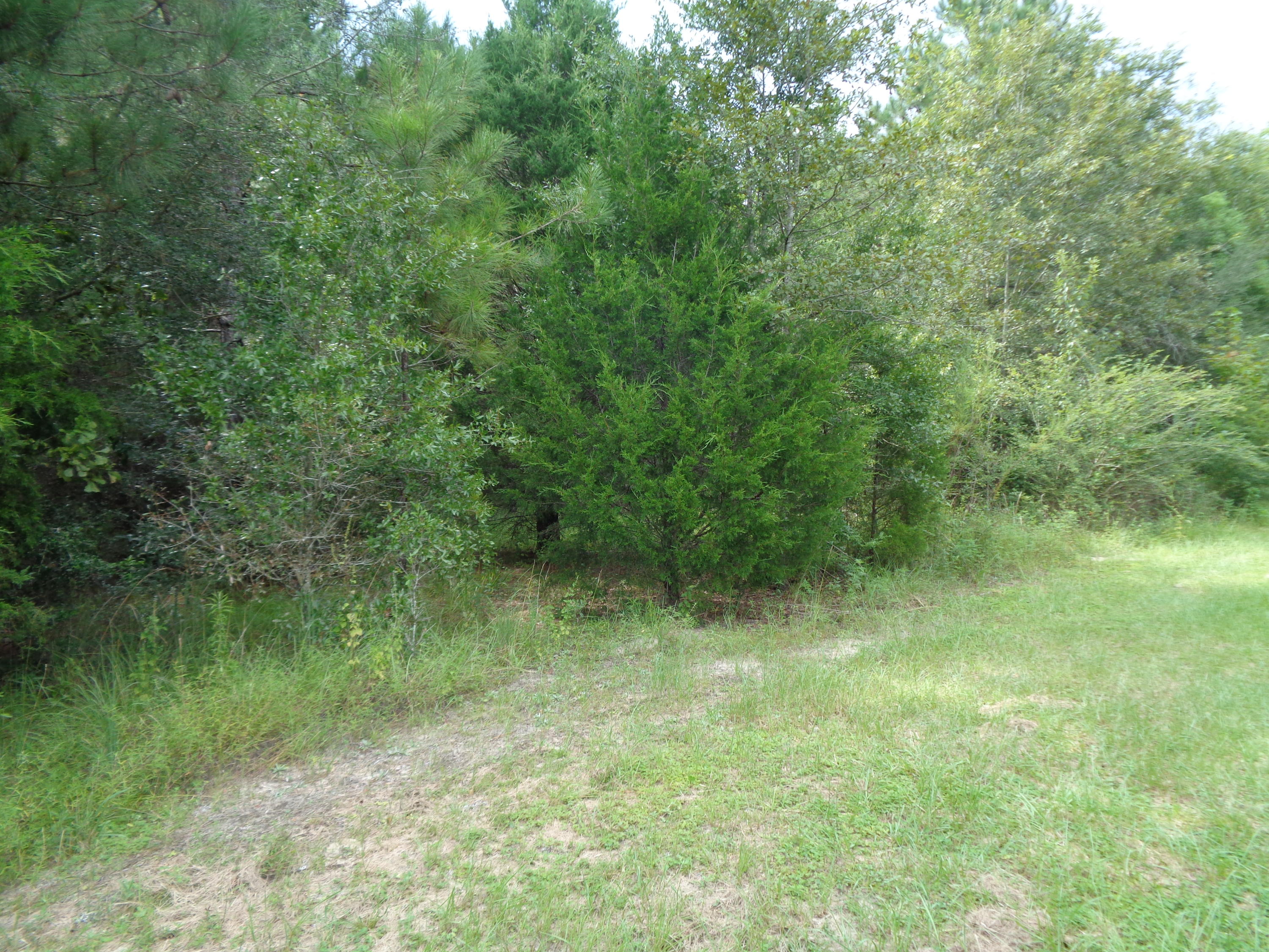 METES & BOUNDS - Land