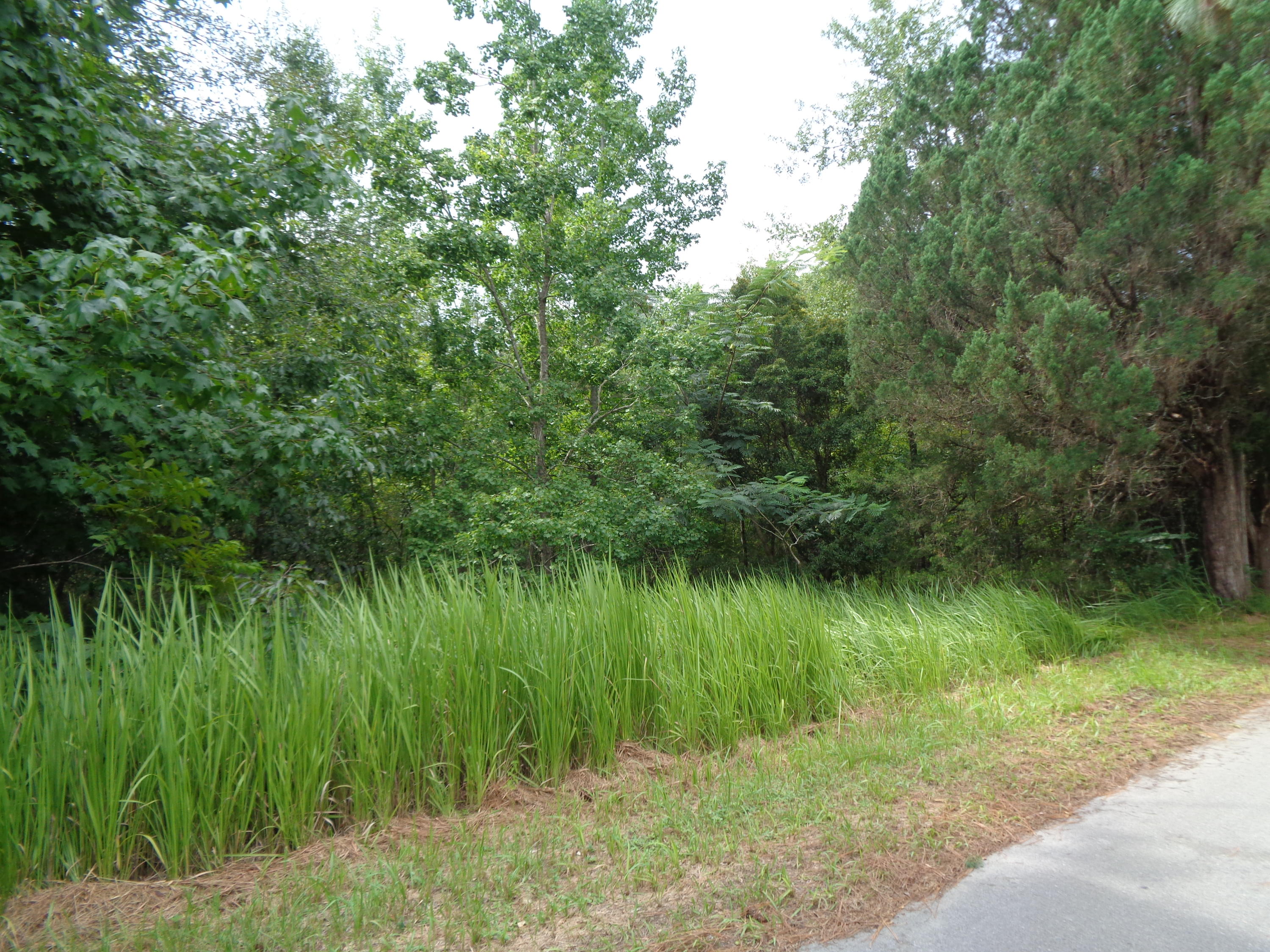 METES & BOUNDS - Land