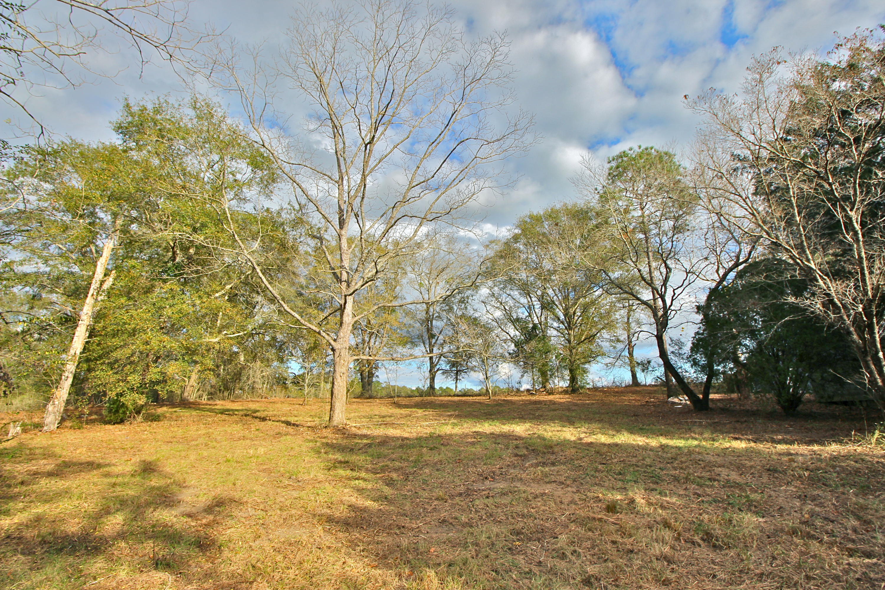 Quiet and peaceful, hard to find small acreage (2 acres) in the country in Gaskin. Such a pretty, peaceful setting towards the top of a hill with pasture/farmland views in all directions. There is a shell of a house on the property given little value but could be rehabbed with some effort. There's an old well and septic on the property and no guarantee of working condition of those. New pictures being posted this week, as it's just being bush hogged. Cash only, no financing contingencies please.