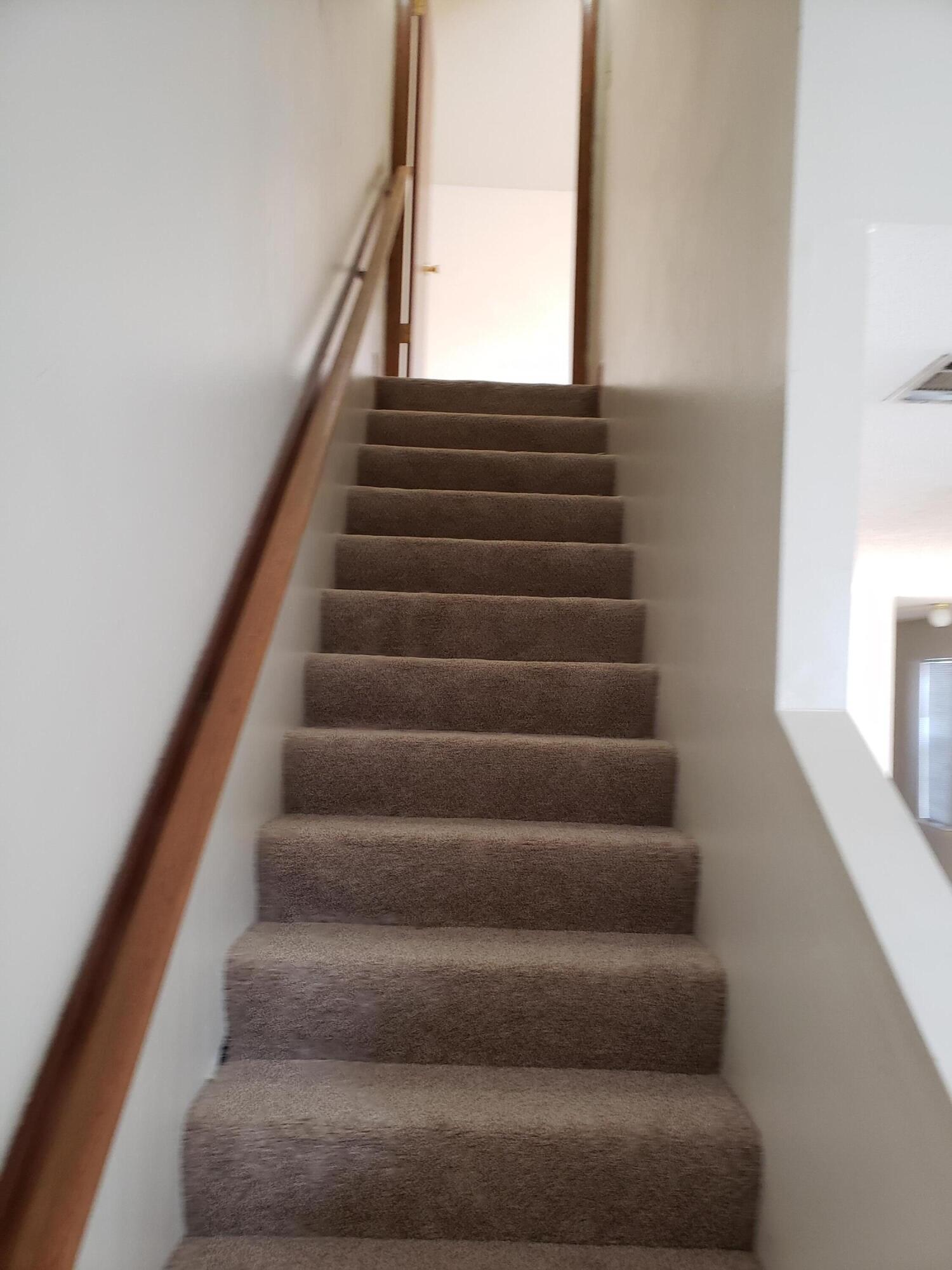 DOWNTOWNER - Residential Lease