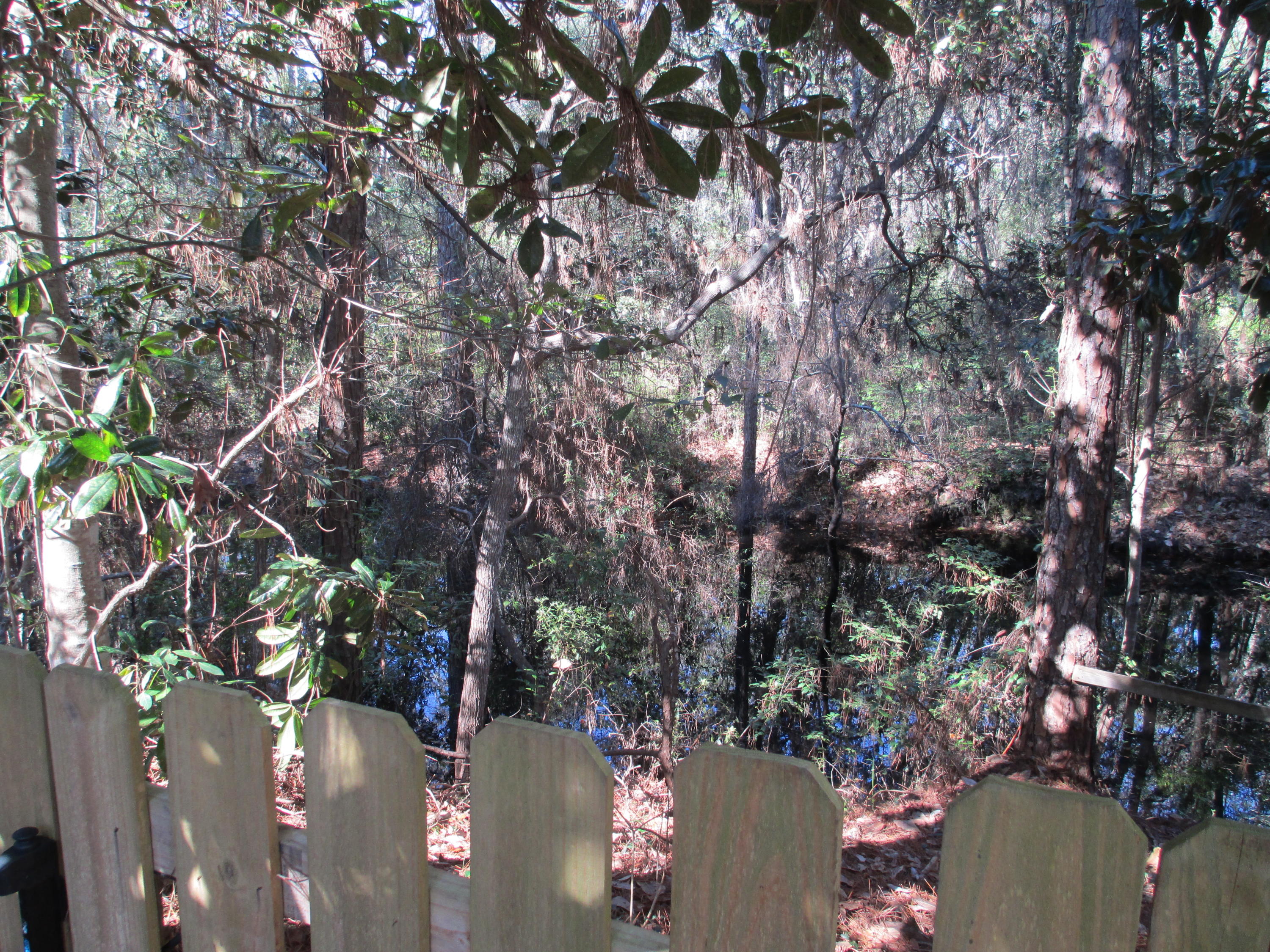 SEAGROVE SHORES 4TH ADD - Residential