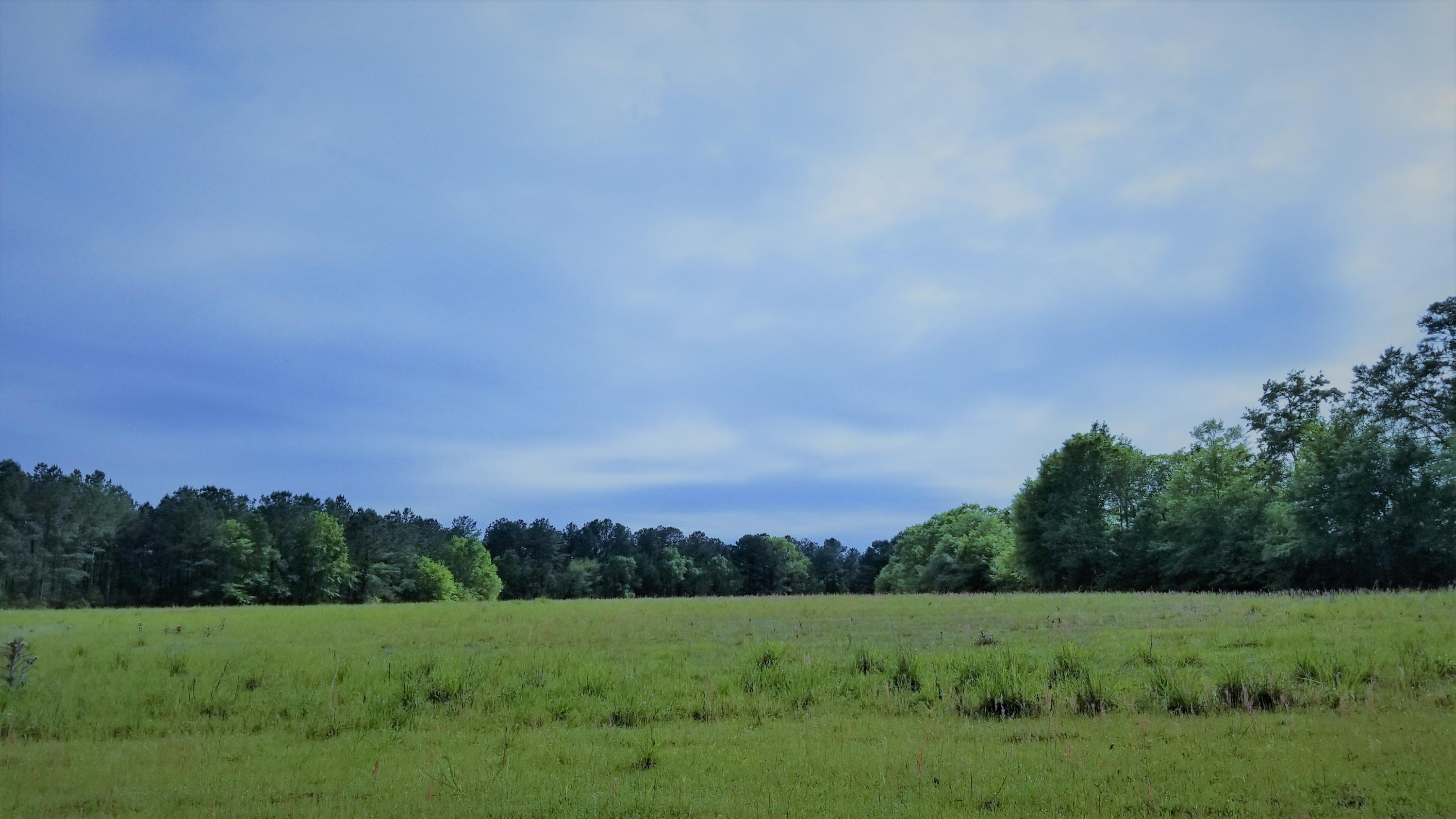 METES & BOUNDS - Farm