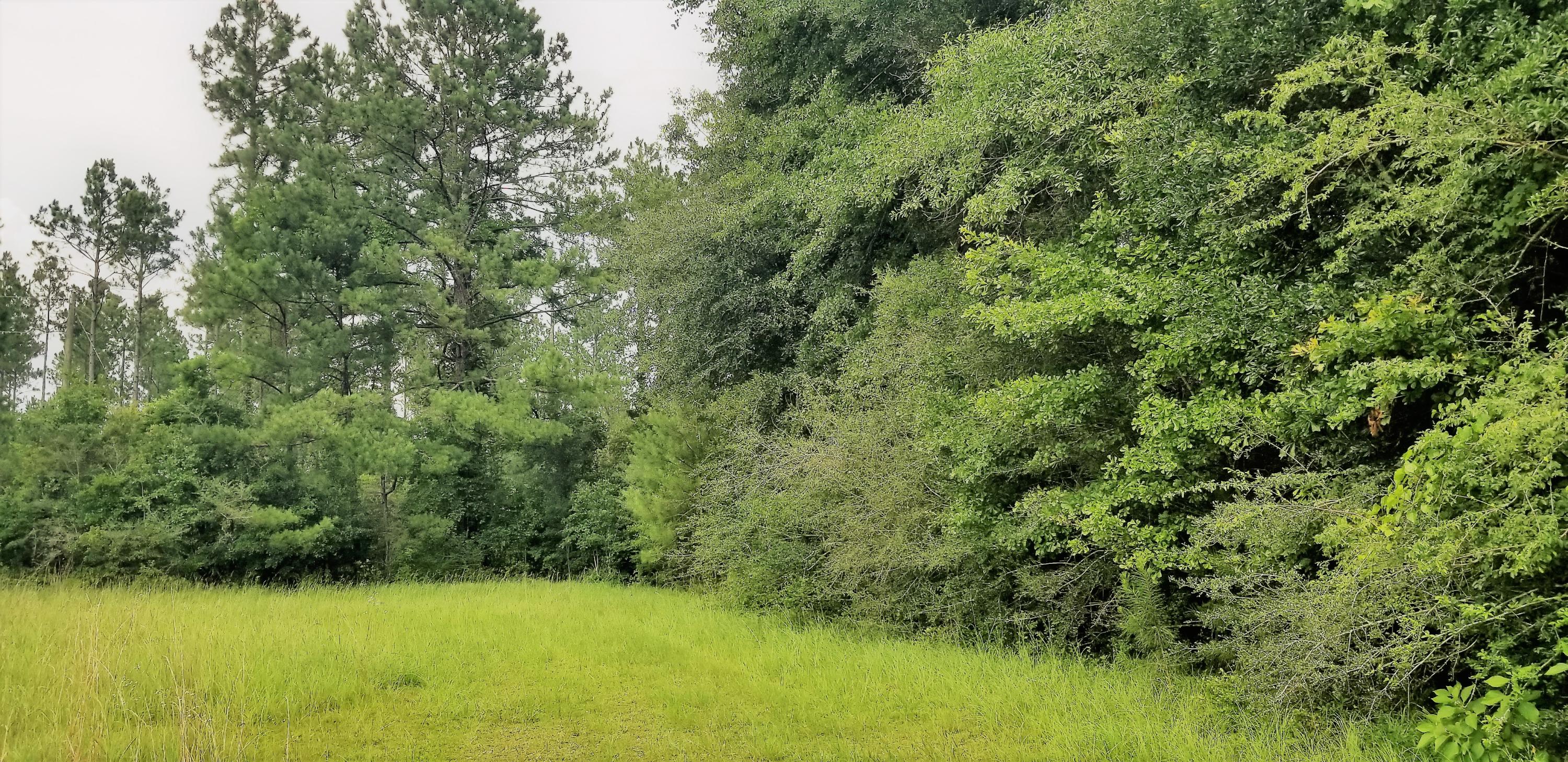 METES & BOUNDS - Farm