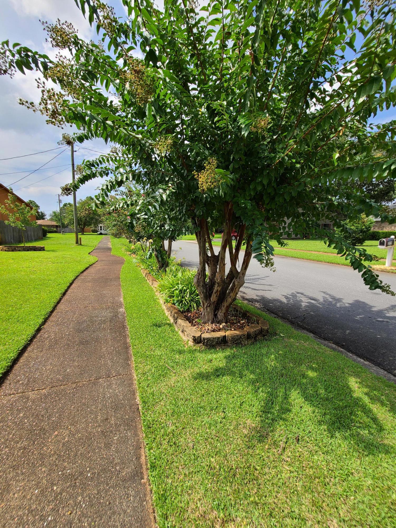 TIMBERLAKE ESTATES - Residential