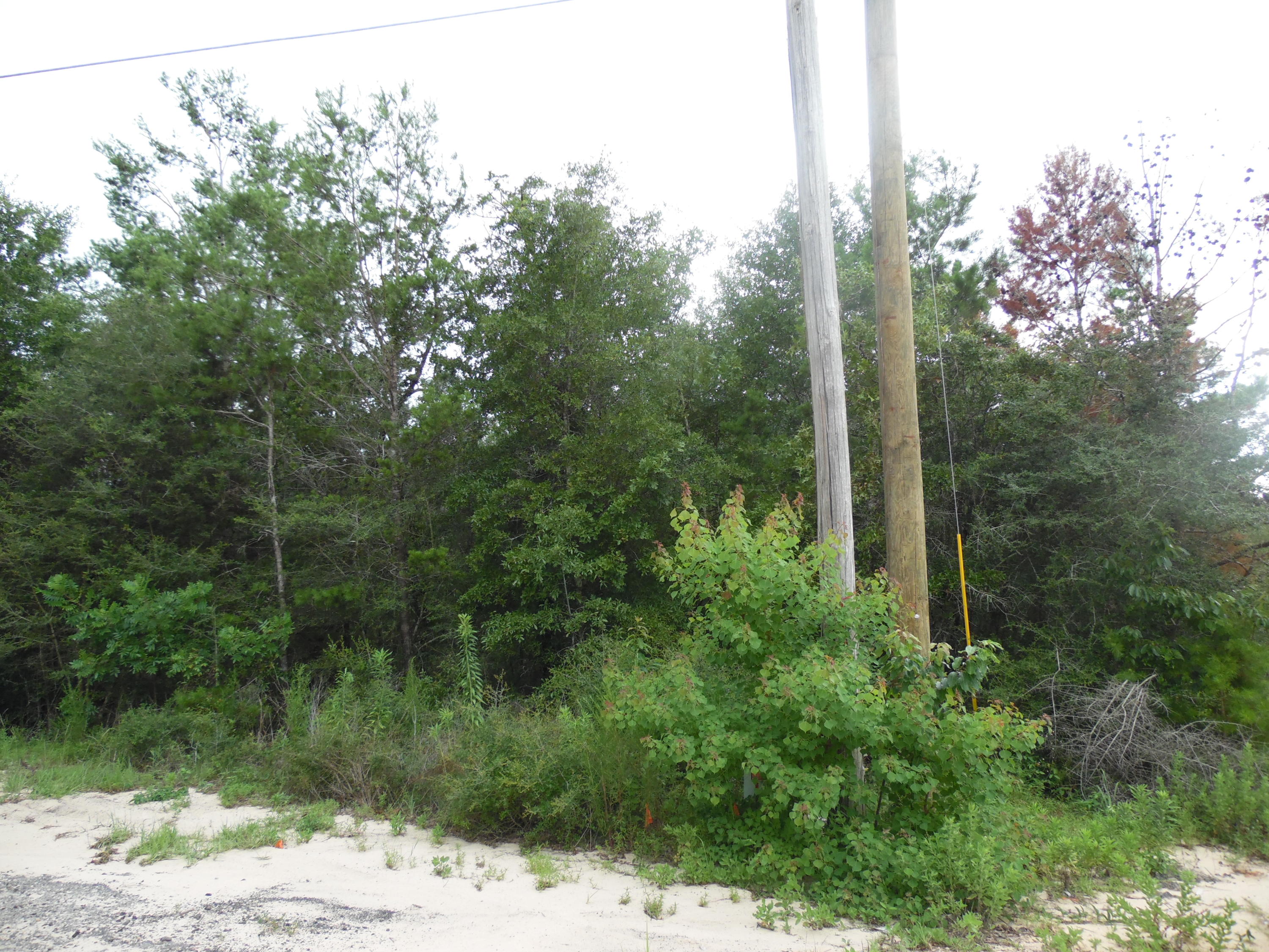 Juniper Lake Estates, Unit 6 of Oakwood Hills, S/D. Plat Book 5, Pages 5-5G - Land