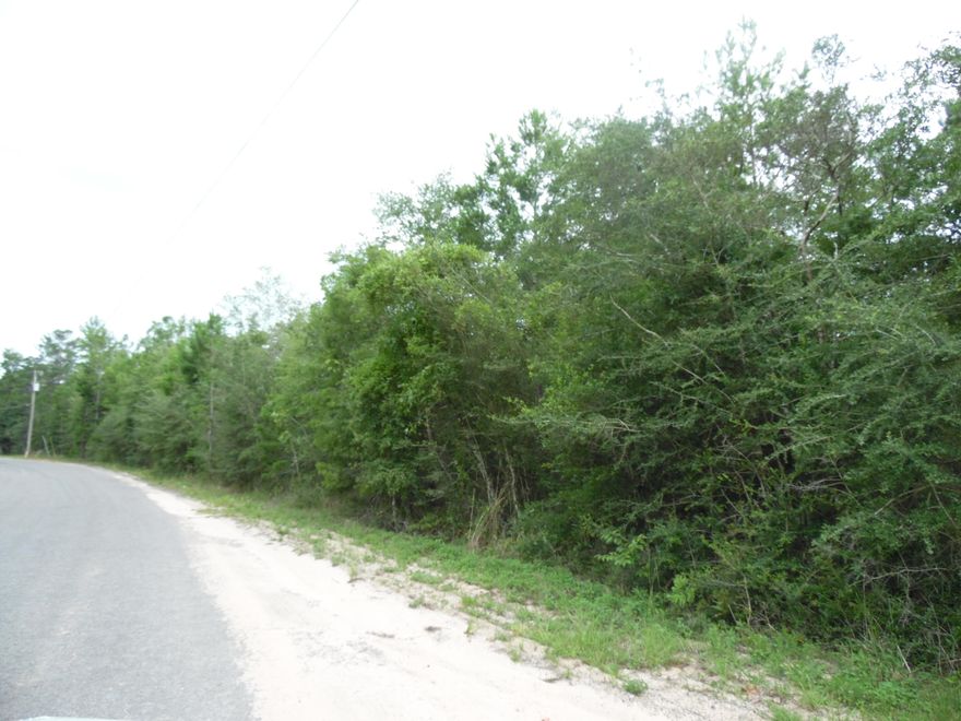 This property is nearly 1 acre that is perfect to build or have a that new manufactured home set up. See us anytime.