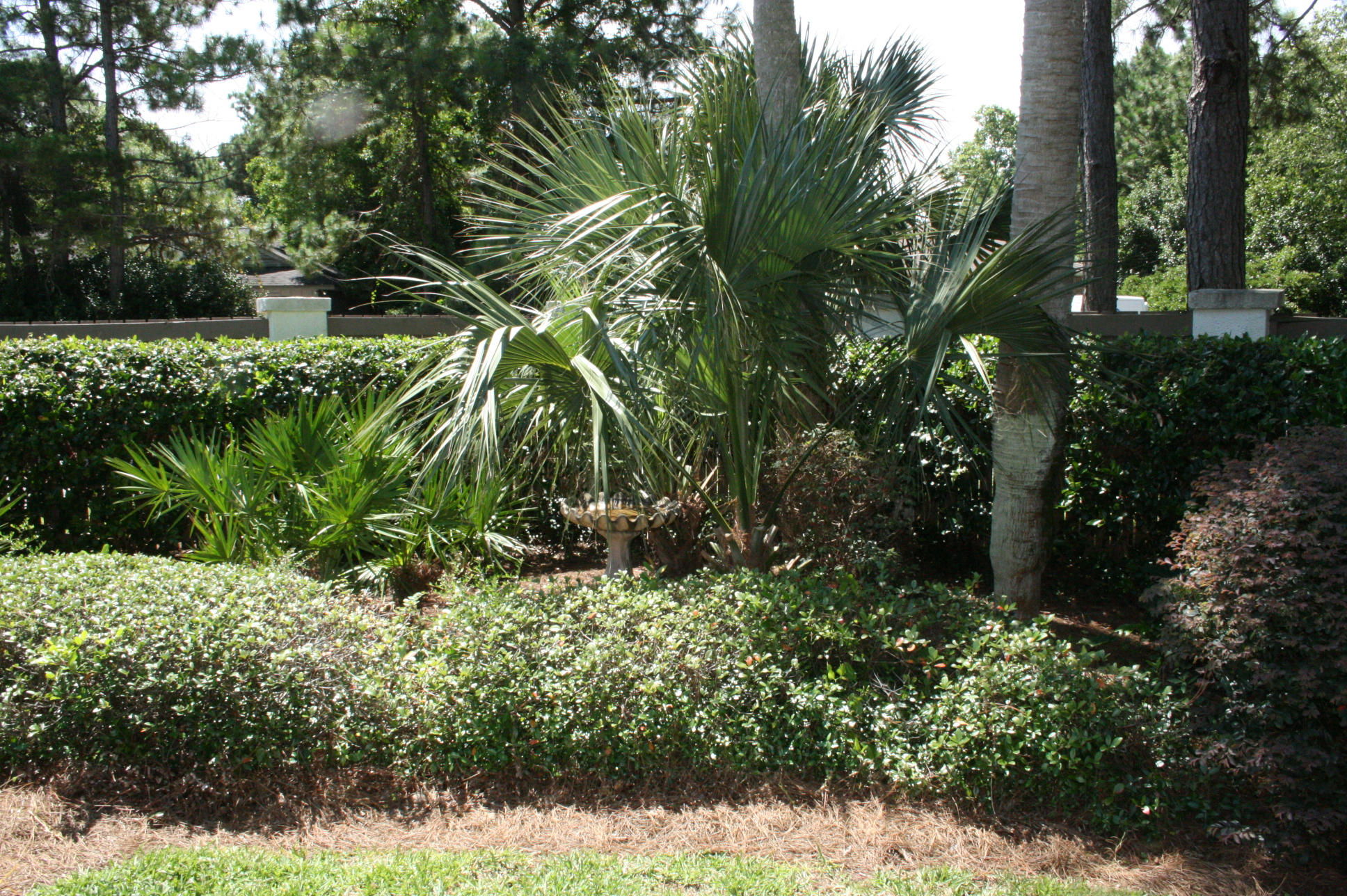 L'ATRIUM - Residential