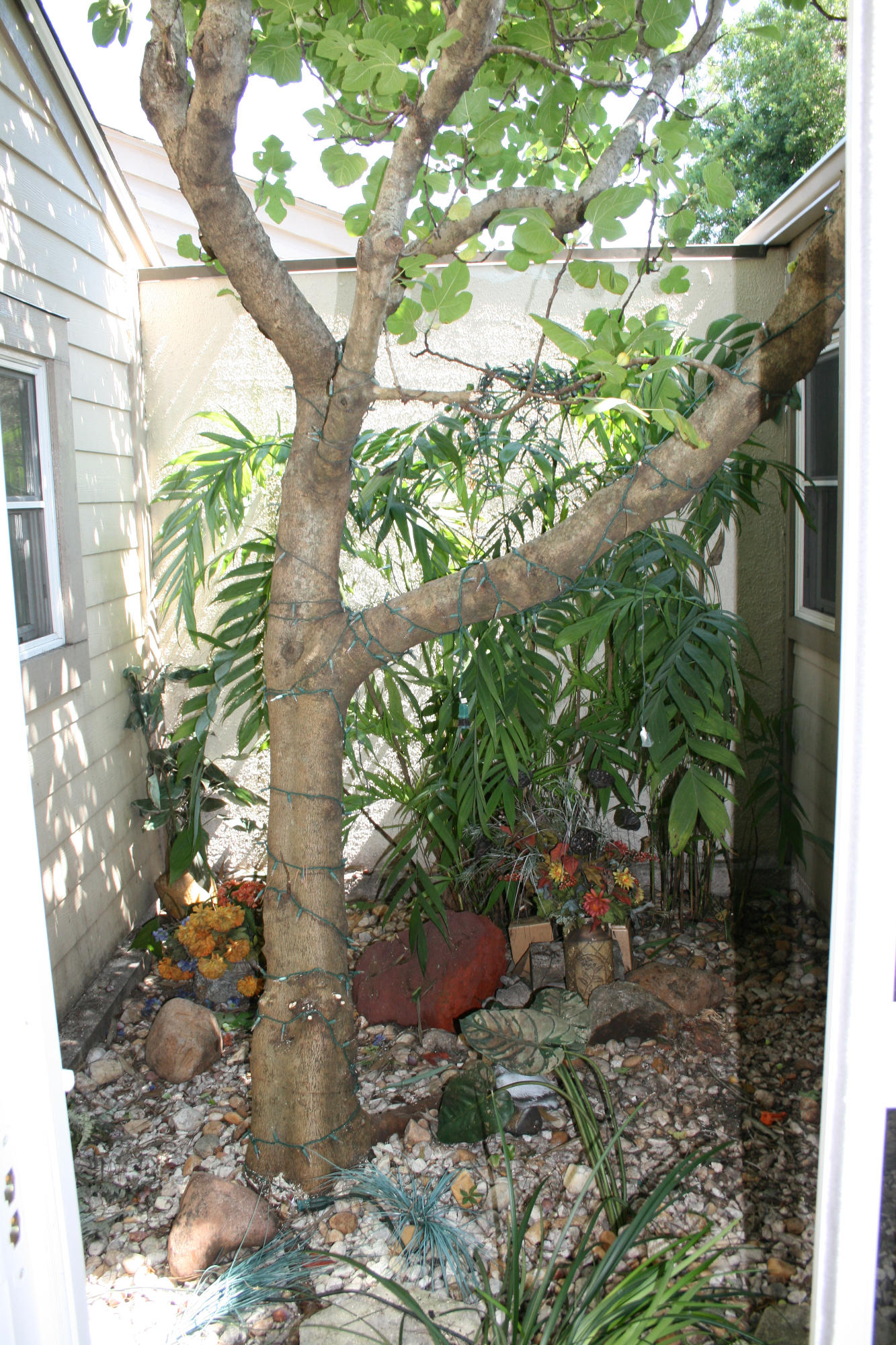 L'ATRIUM - Residential