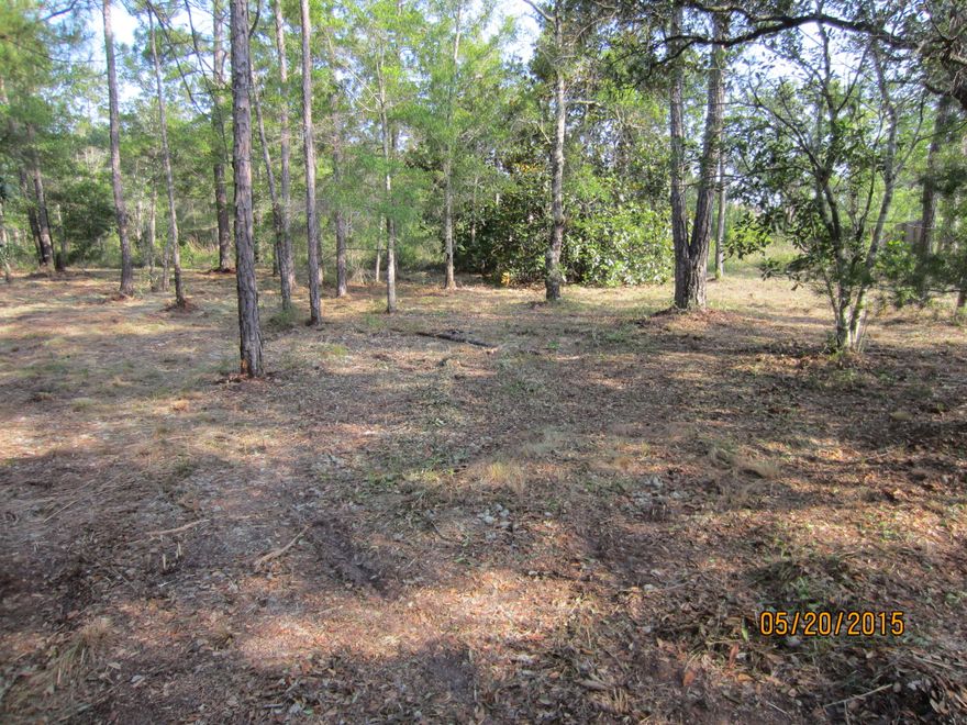 HUGE PRICE REDUCTION..Owner says sell...Large estate size lot with 96 feet of water frontage on Mallet Bayou Reach. This lot has mature trees and located on a paved road near the South Walton Snow-White beaches, quality restaurants, and other amenities are only minutes away. Build a dock and you are only a short ride to the Choctawhatchee Bay. Mallet Bayou has excellent fishing and beautiful scenery. Terrific lot for that special home now or hold as an investment. Public water and sewer available and there is no build-out time requirement. There is no HOA so there are no fees.