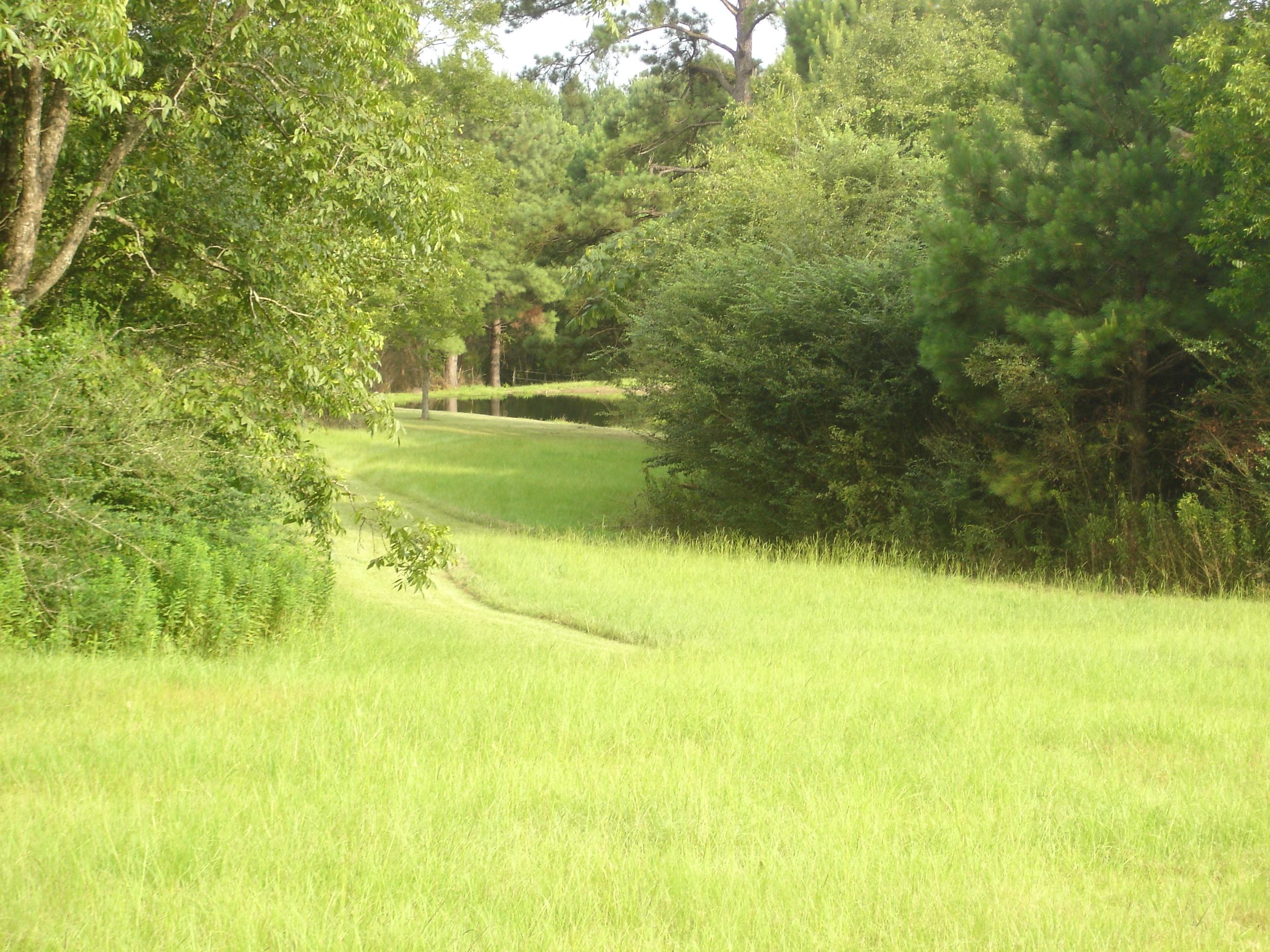 LAUREL HILL - Residential