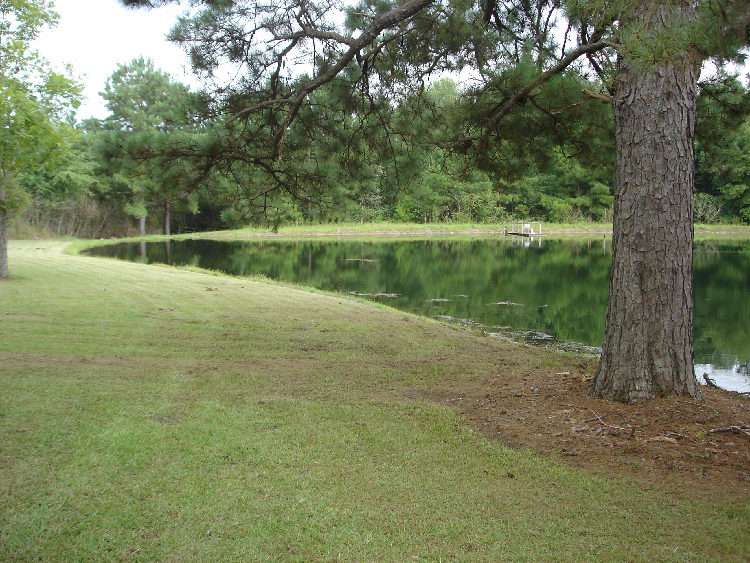 LAUREL HILL - Residential