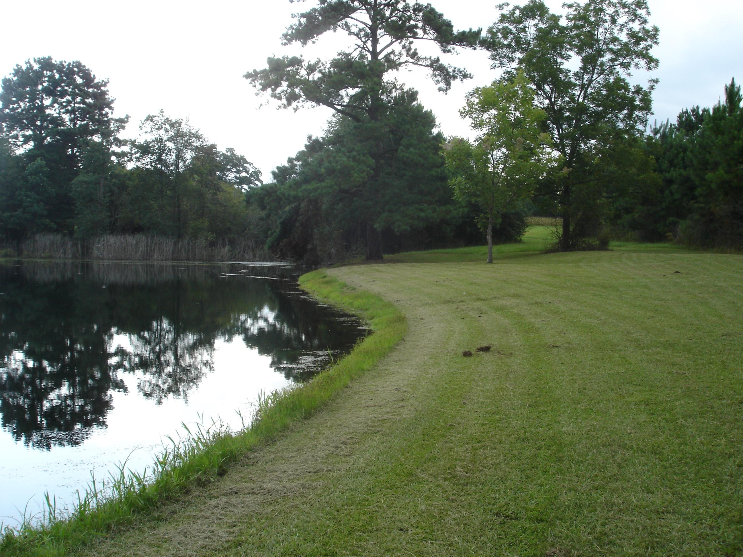 LAUREL HILL - Residential