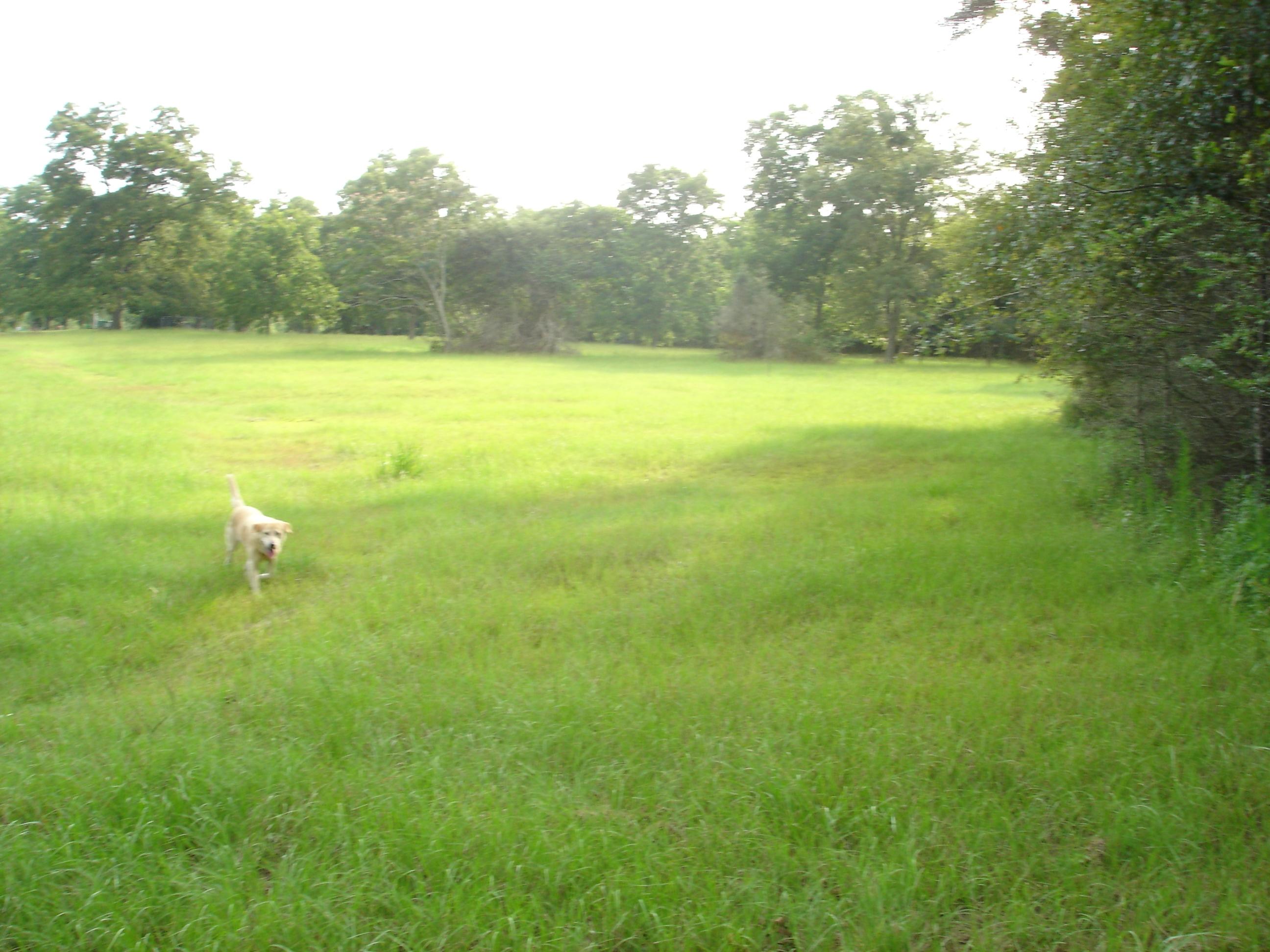 LAUREL HILL - Residential