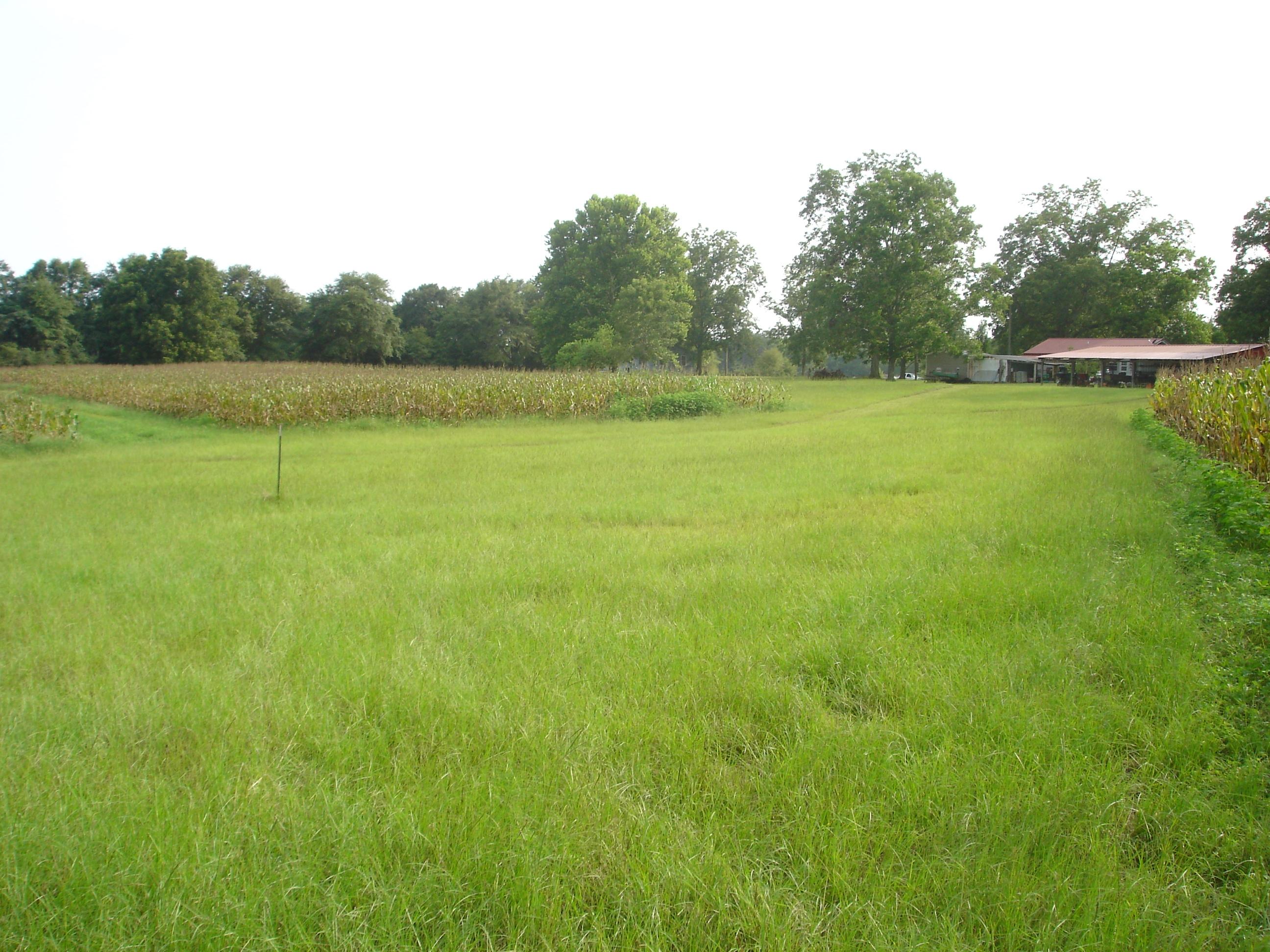 LAUREL HILL - Residential