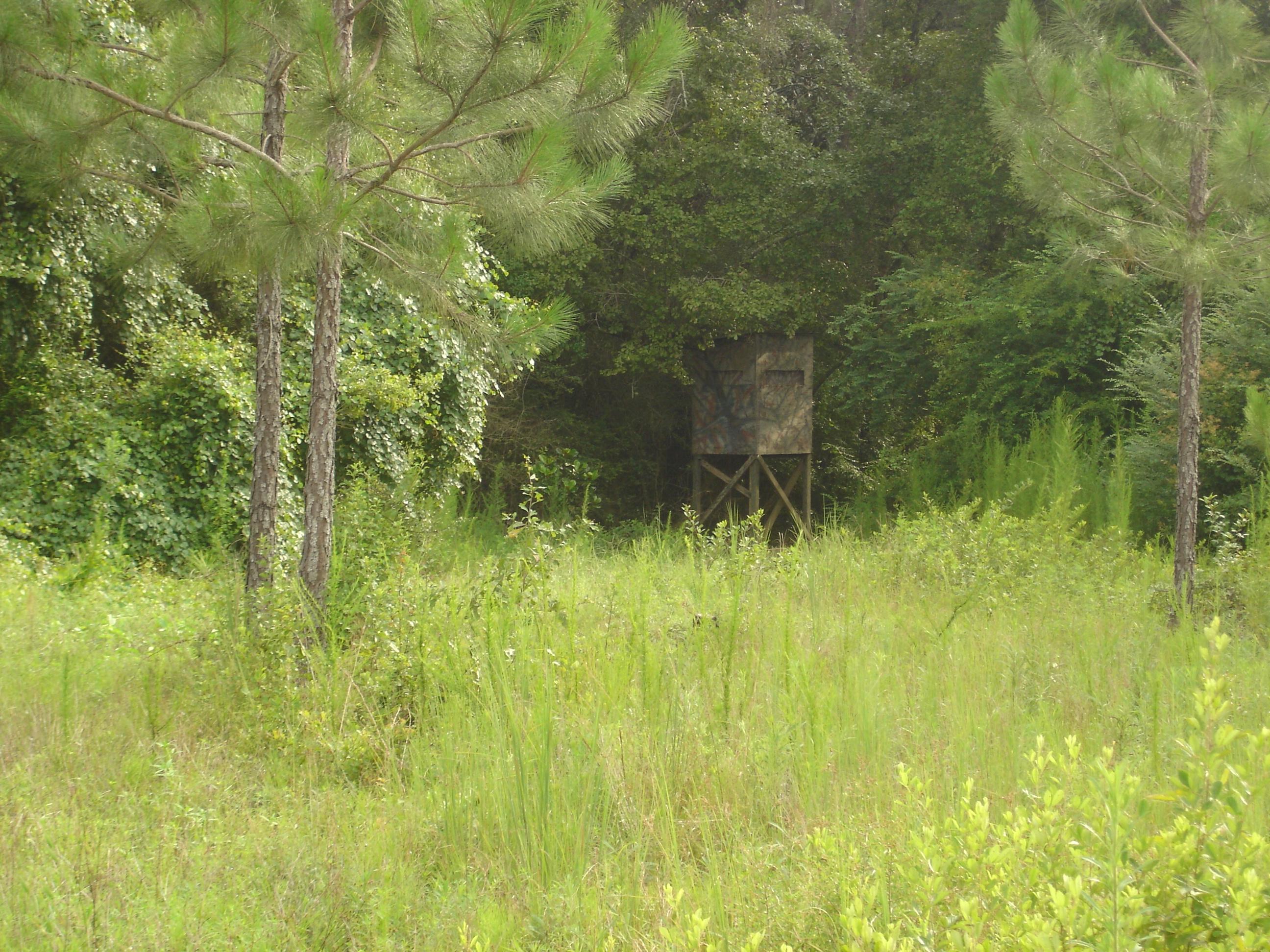 LAUREL HILL - Residential