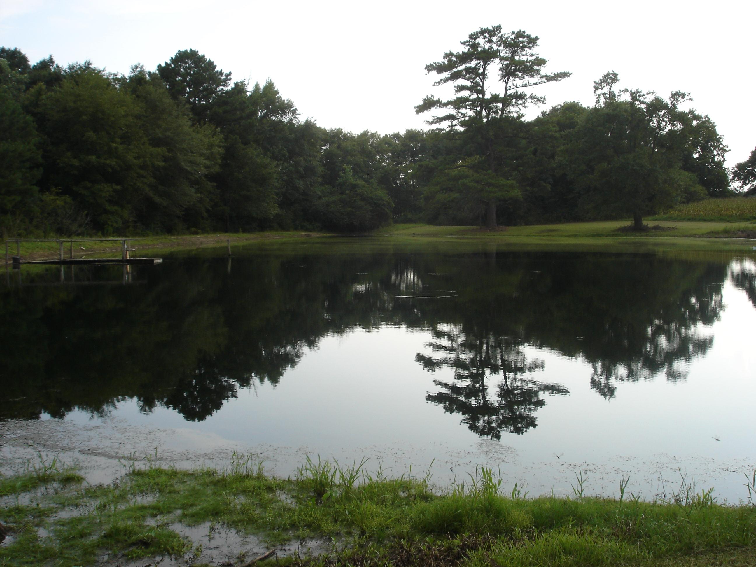 LAUREL HILL - Residential