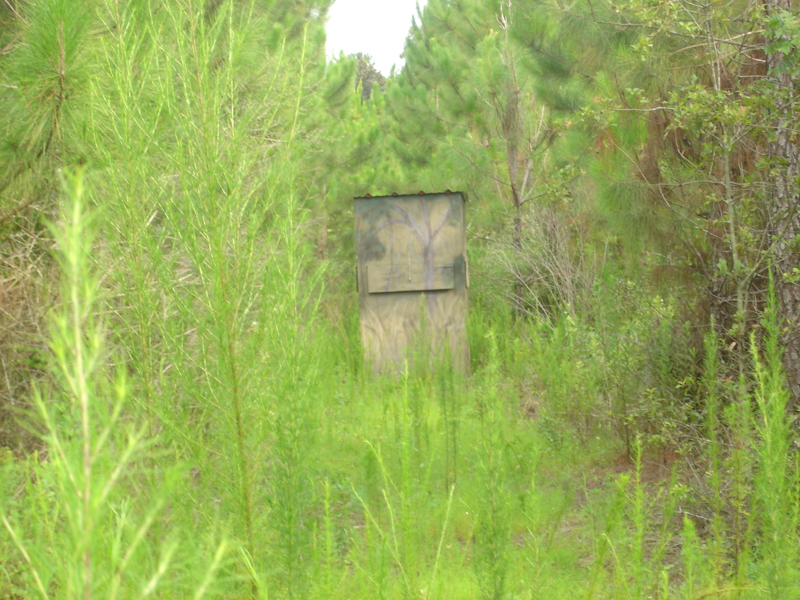 LAUREL HILL - Residential