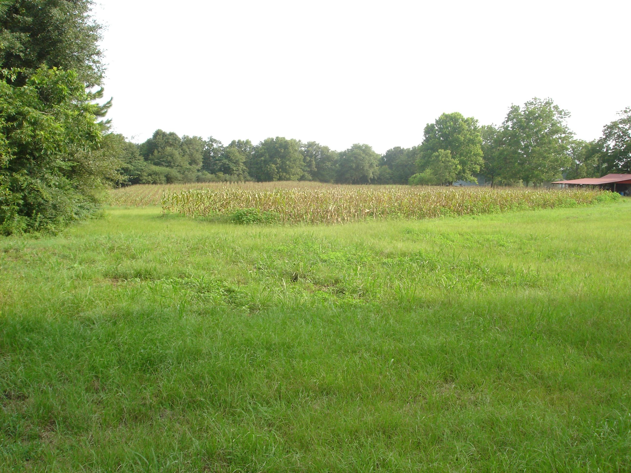 LAUREL HILL - Residential