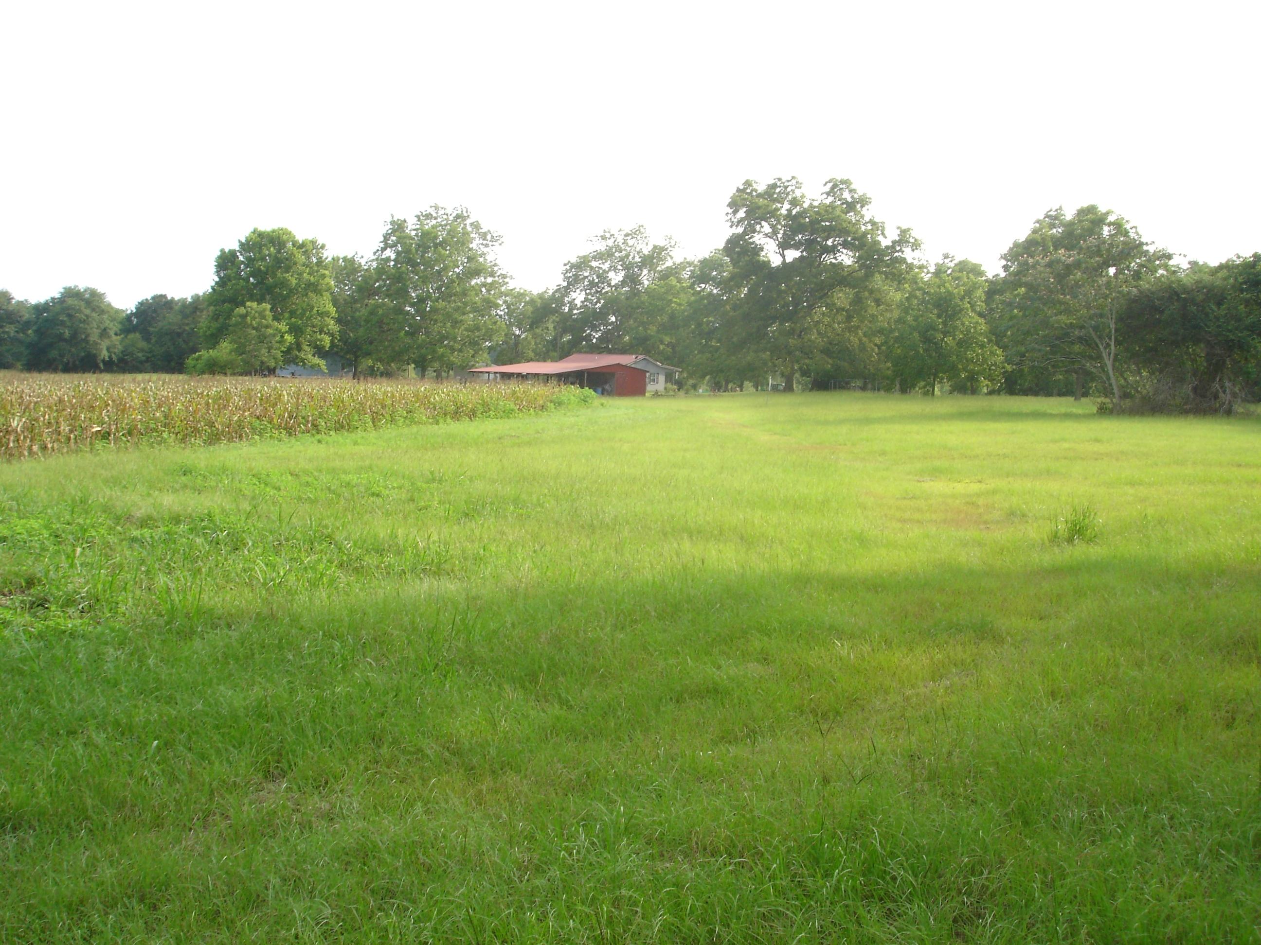 LAUREL HILL - Residential