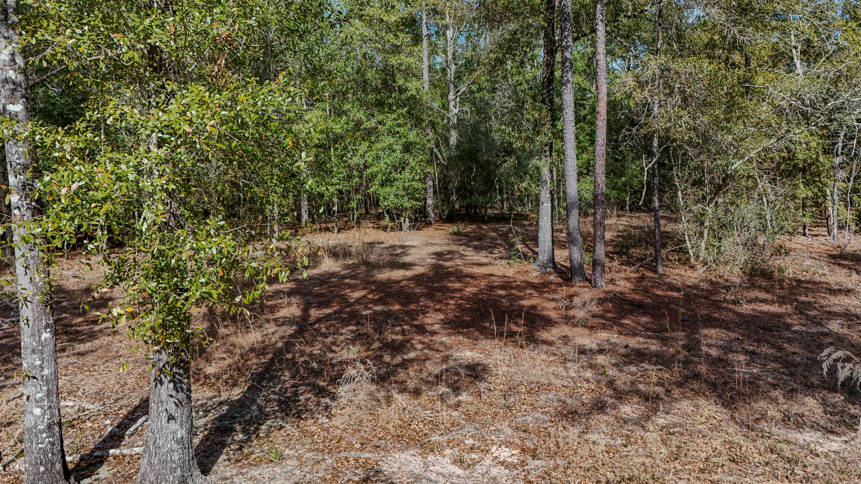 METES & BOUNDS - Farm