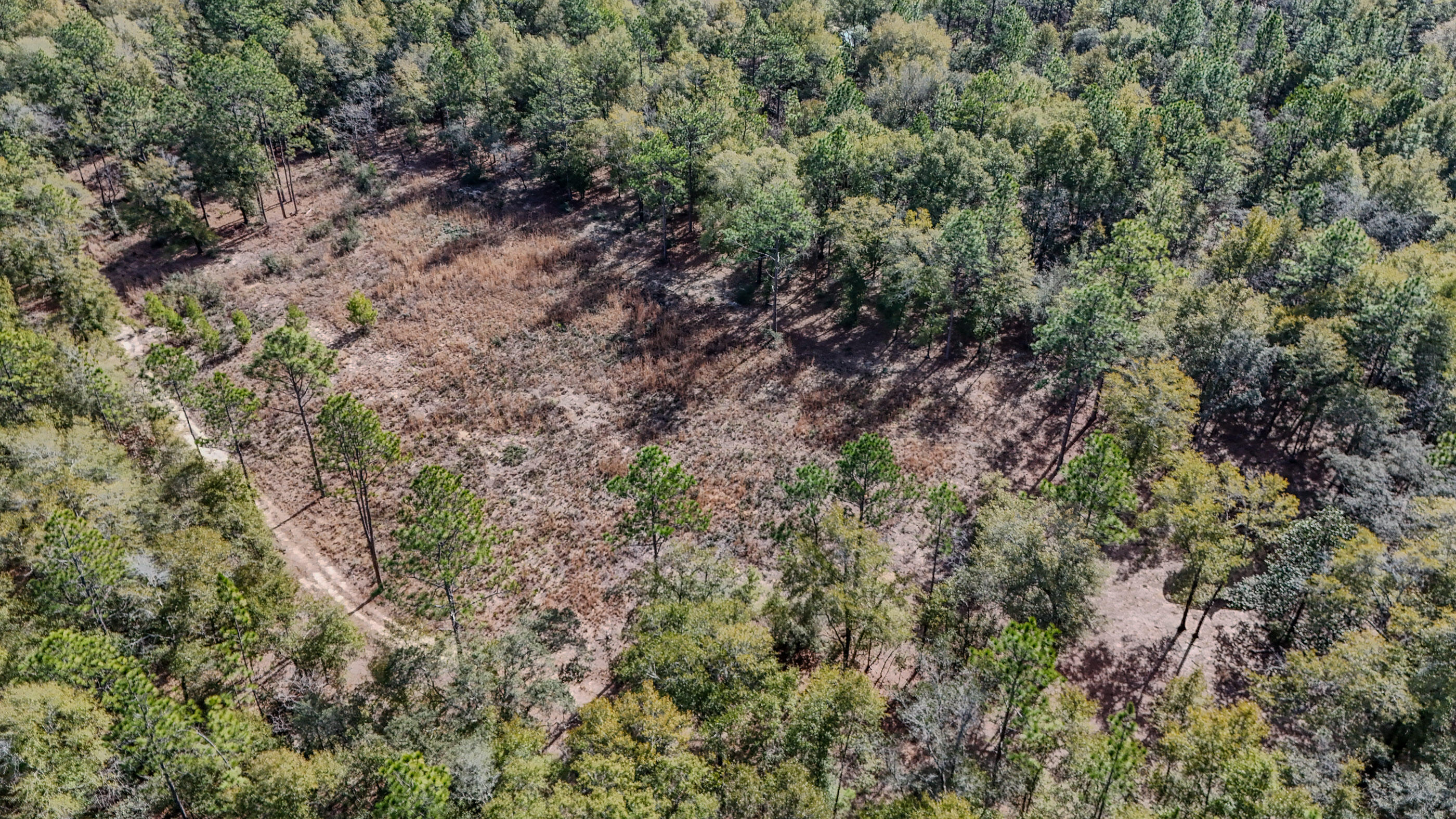 METES & BOUNDS - Farm