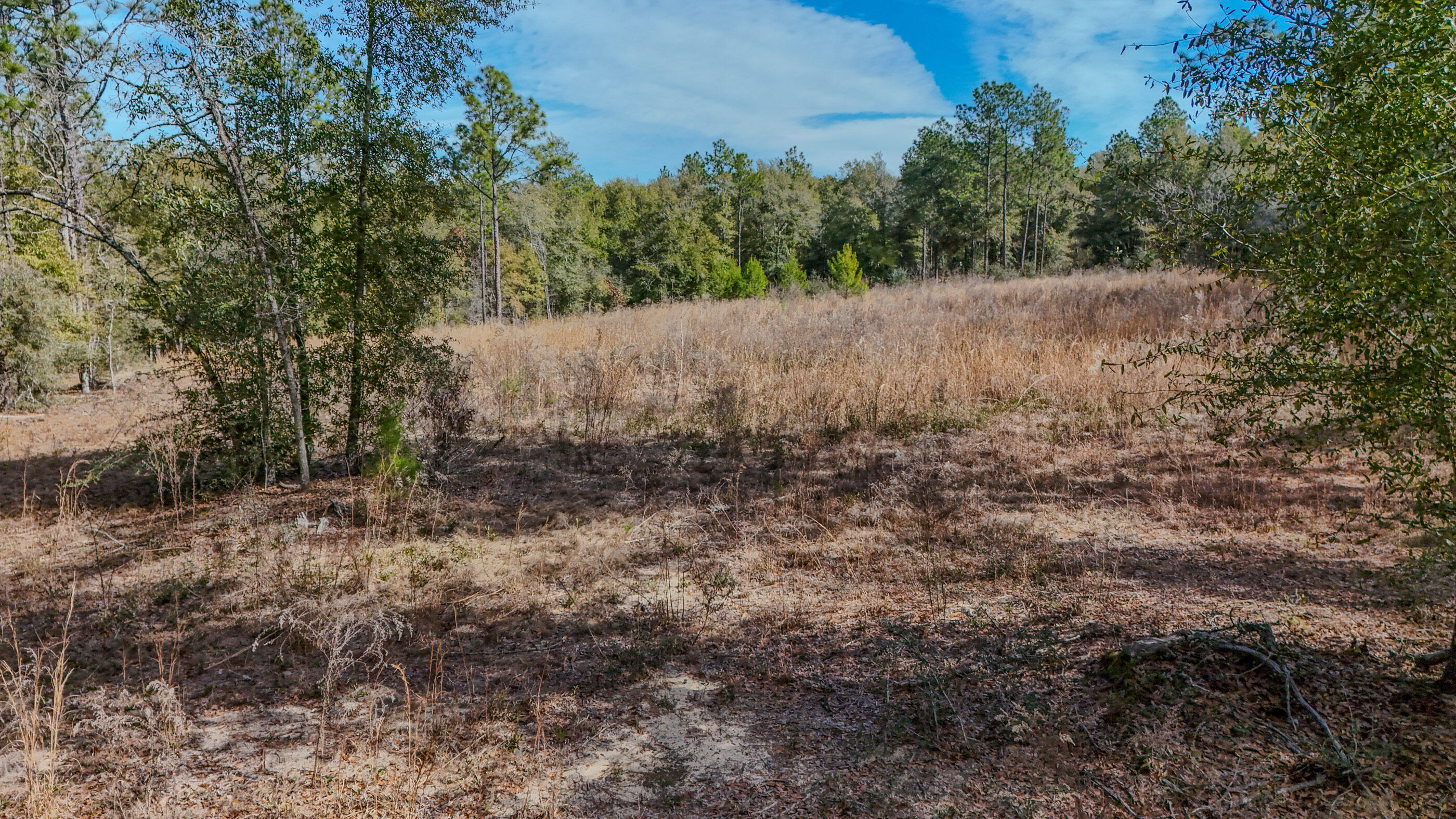 METES & BOUNDS - Farm