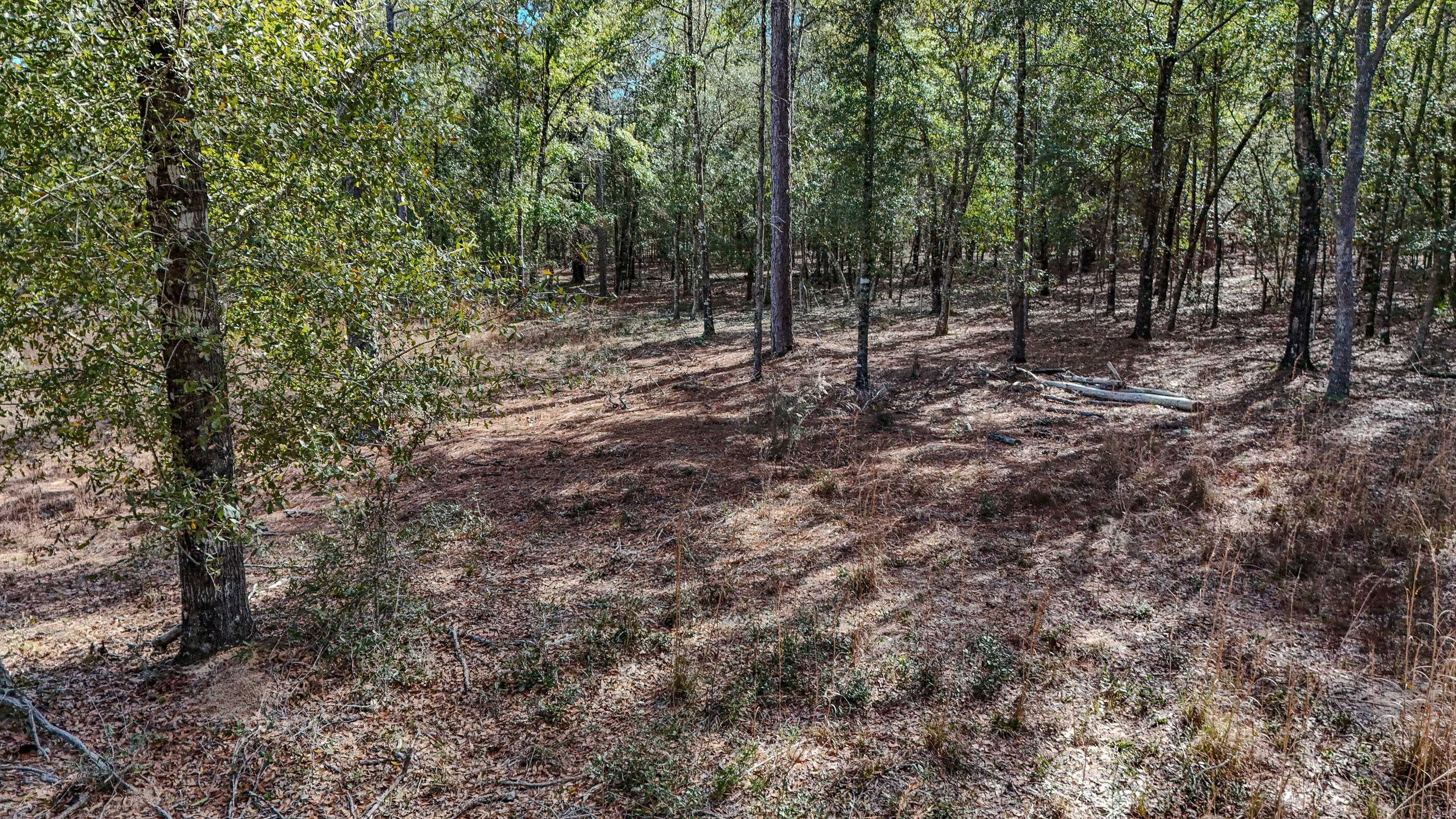 METES & BOUNDS - Farm