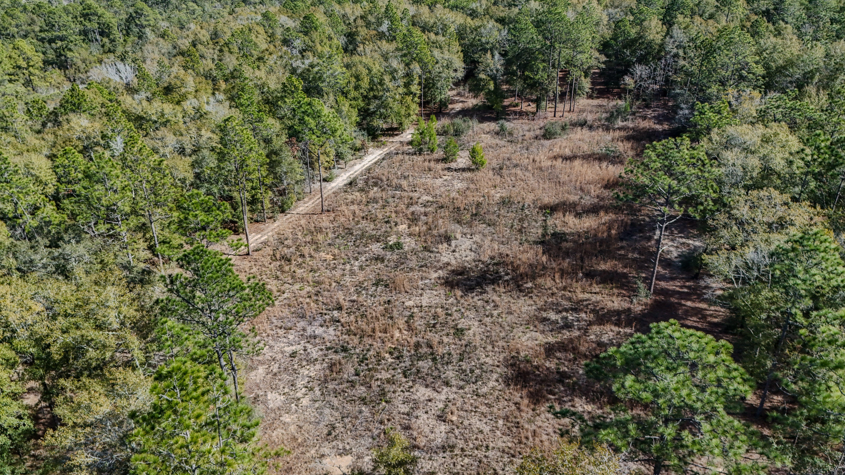 METES & BOUNDS - Farm