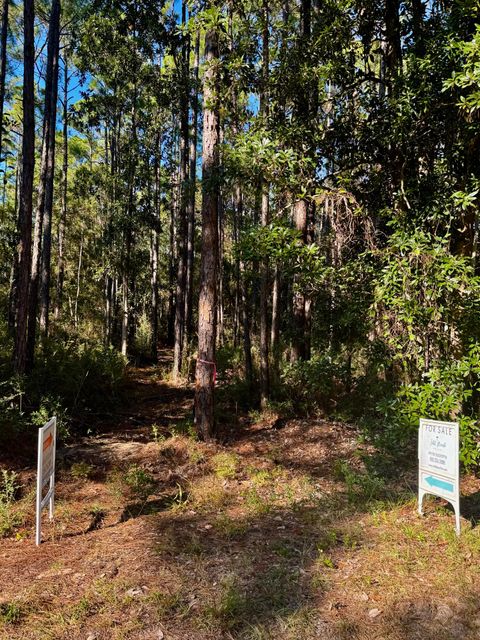 Photo of Lot 12 S 14th Street, Santa Rosa Beach, FL 32459 (MLS # 987561)