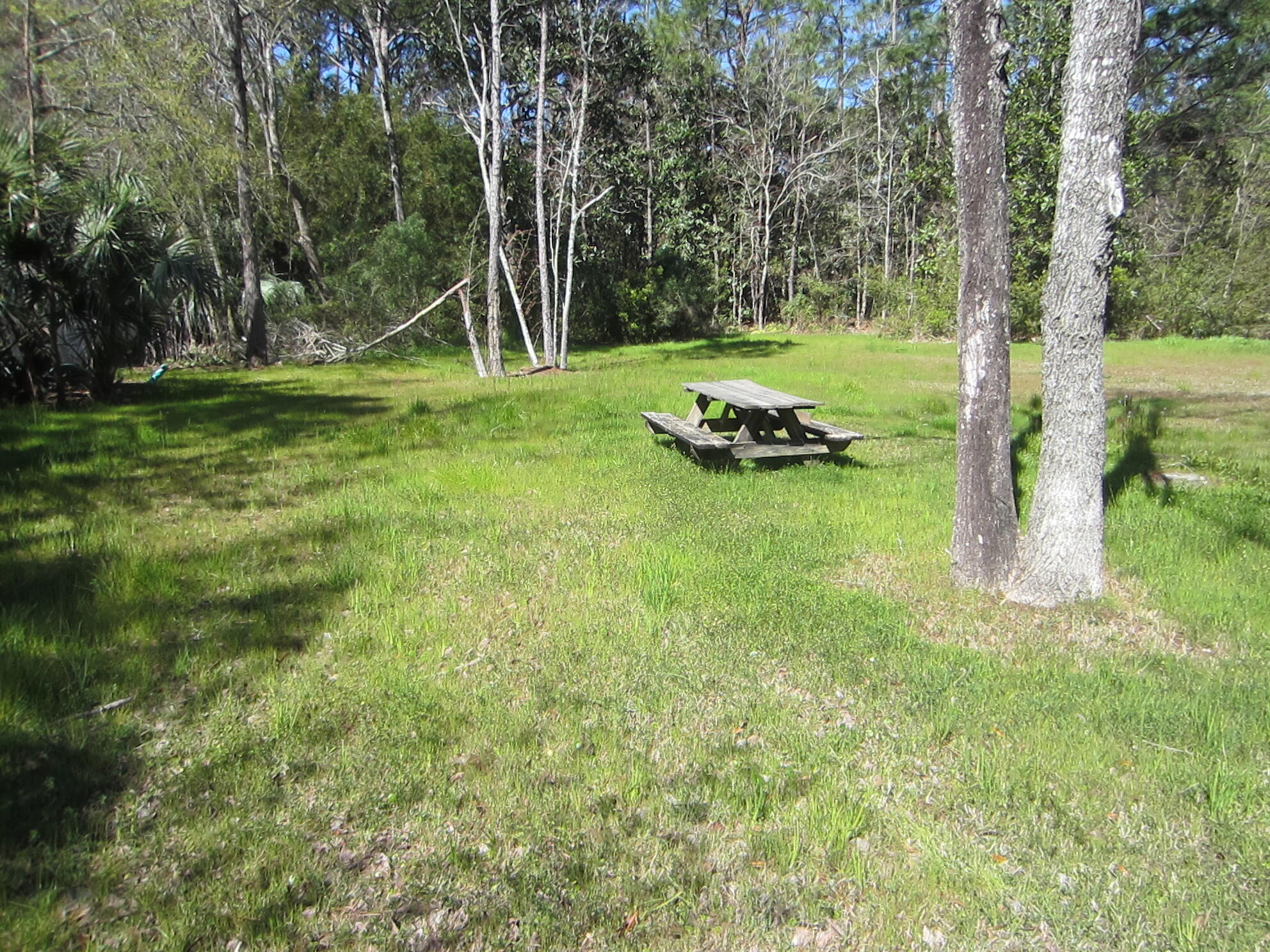 Beautiful residential lot with public water, sewer, and electric all on this lot ready for immediate use. Mobile homes okay. This lot has been cleared and also has a culvert access as well. Located directly on paved Indian Woman Road with a short distance to Hog-Town Bayou and Cessna Park which has a beautiful boat launch to Choctawhatchee Bay.