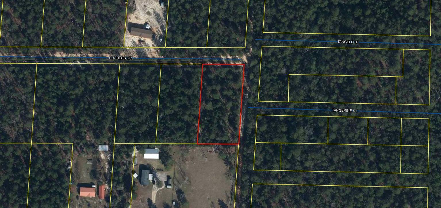 This 1 acre dry parcel is perfect for a weekend getaway or a primary residence. Located in the growing community of Mossy Head. Convenient to I10 and Hwy331. Power is available on Duchess Drive. Septic and well is required. Survey available