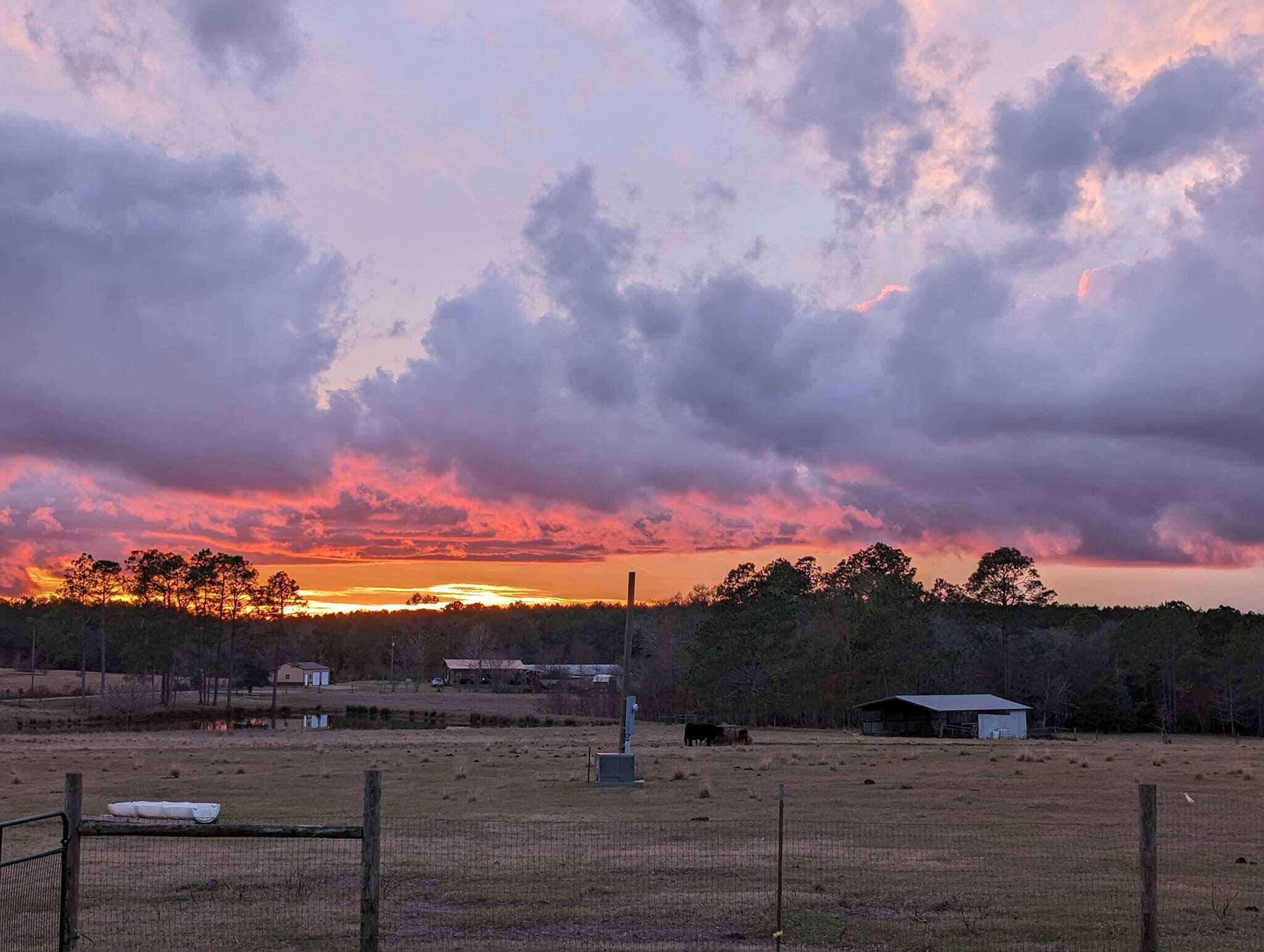 ESCAMBIA FARMS - Residential