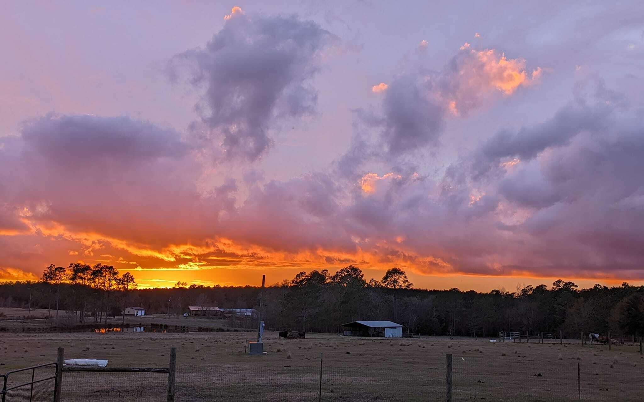 ESCAMBIA FARMS - Residential