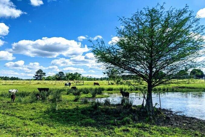 ESCAMBIA FARMS - Residential