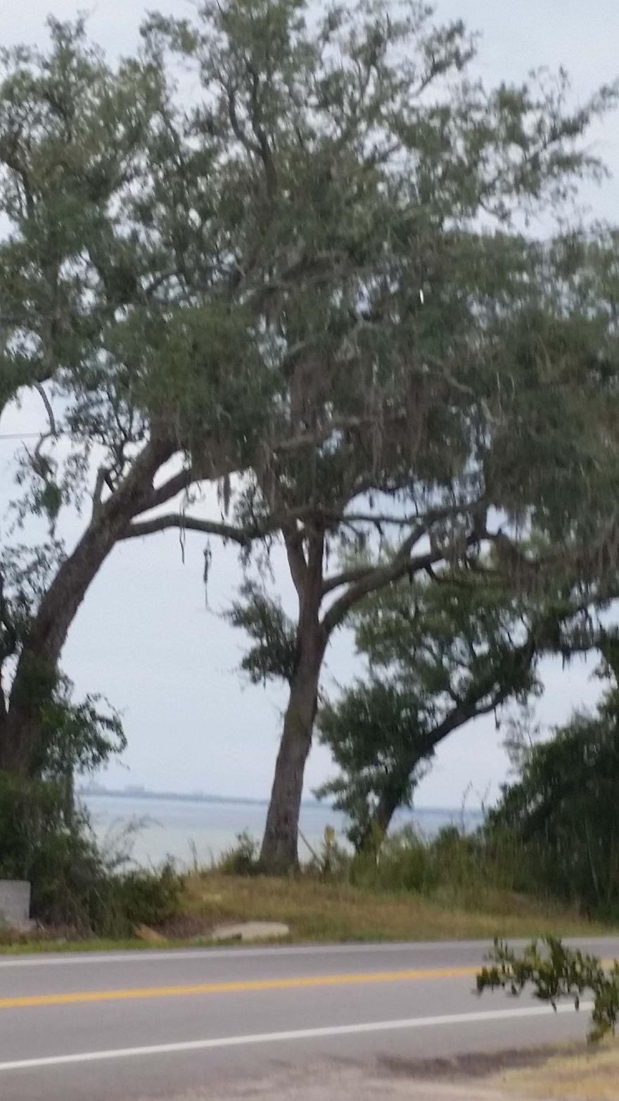 Stop by this .33 acre lot, approx. 75' x 150' located on Hwy 20 (north-side) with partial water view, and picture it... a lovely home of your choice in a great location, near Mid-Bay Bridge & Destin!