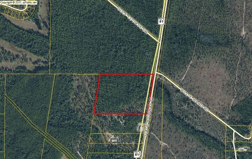 Gorgeous 21+ acres with frontage on Hwy 81 features a small creek on the northeast corner and several beautiful spots to build your dream home. Magnolias, live oaks, and pine trees, as well as palmettos, wild blueberries, and more! Just 15 minutes to Freeport and 30 minutes to the white sand beaches in Santa Rosa Beach and Panama City Beach!