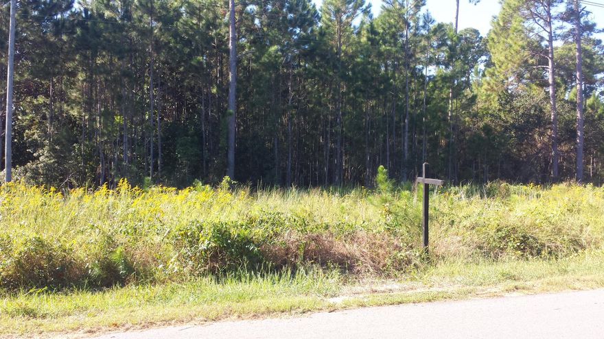 Large Beautiful double lot approximately a 1/4 mile North of HWY 98 in North Santa Rosa Beach. So close to everything including Destin, Sandestin, Miramar Beach and the Beaches of 30A. Walk to Walmart to do your shopping! Sacred Heart Hospital is right down the road and the shopping at Grand Boulevard in Sandestin is minutes away! This lot measures 138x180 per the survey. Great price on this lot in a growing area! Per Regional Utilities, water and sewer are available. Per the Walton County planning department this parcel is zoned Conservation Residential, meaning the density if 2 dwelling units per acre, with the requirement that 60% of the lot must be kept in it's natural state. All pertinent information deemed important to the buyer should be verified by the buyer.