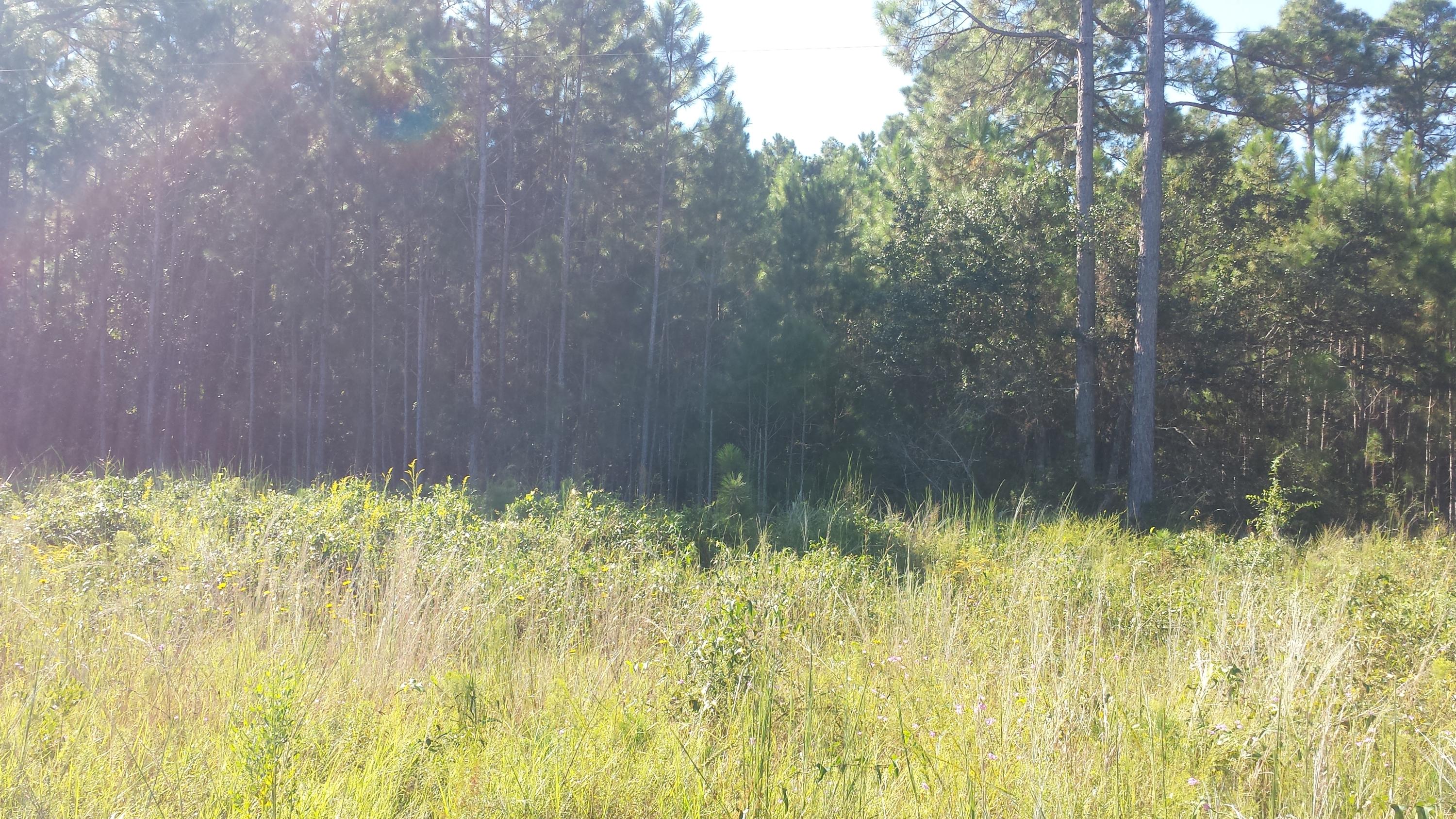 JM & E Subdivision - Land