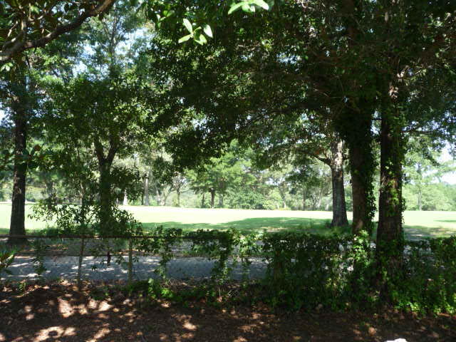 MEIGS S/D NICEVILLE LOT 14 BLK 1 - Residential